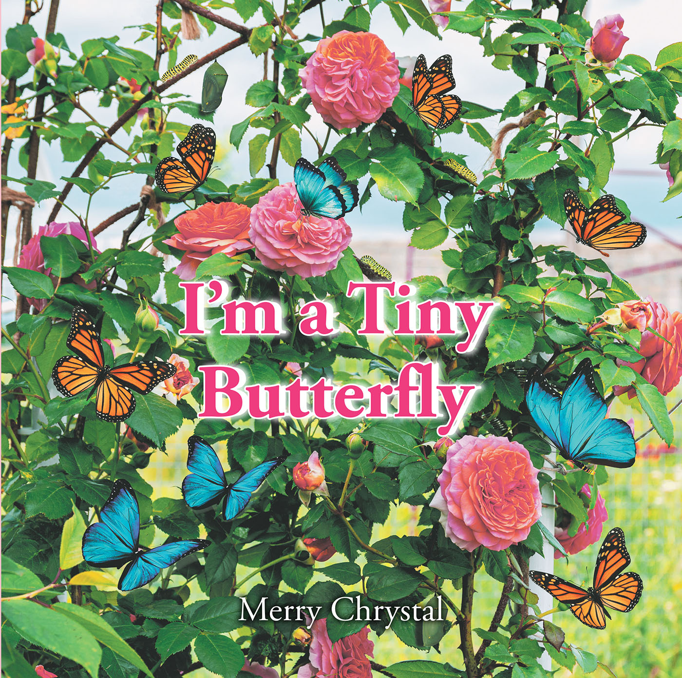 Merry Chrystal’s Newly Released "I’m a Tiny Butterfly" is an Impactful Message That Explores the Importance of Maintaining One’s Spirit