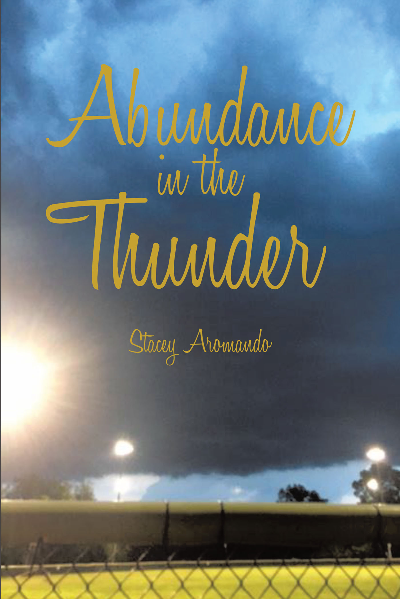 Stacey Aromando’s Newly Released "Abundance in the Thunder" is a Deeply Motivating Exploration of Staying Strong Throughout Challenging Times