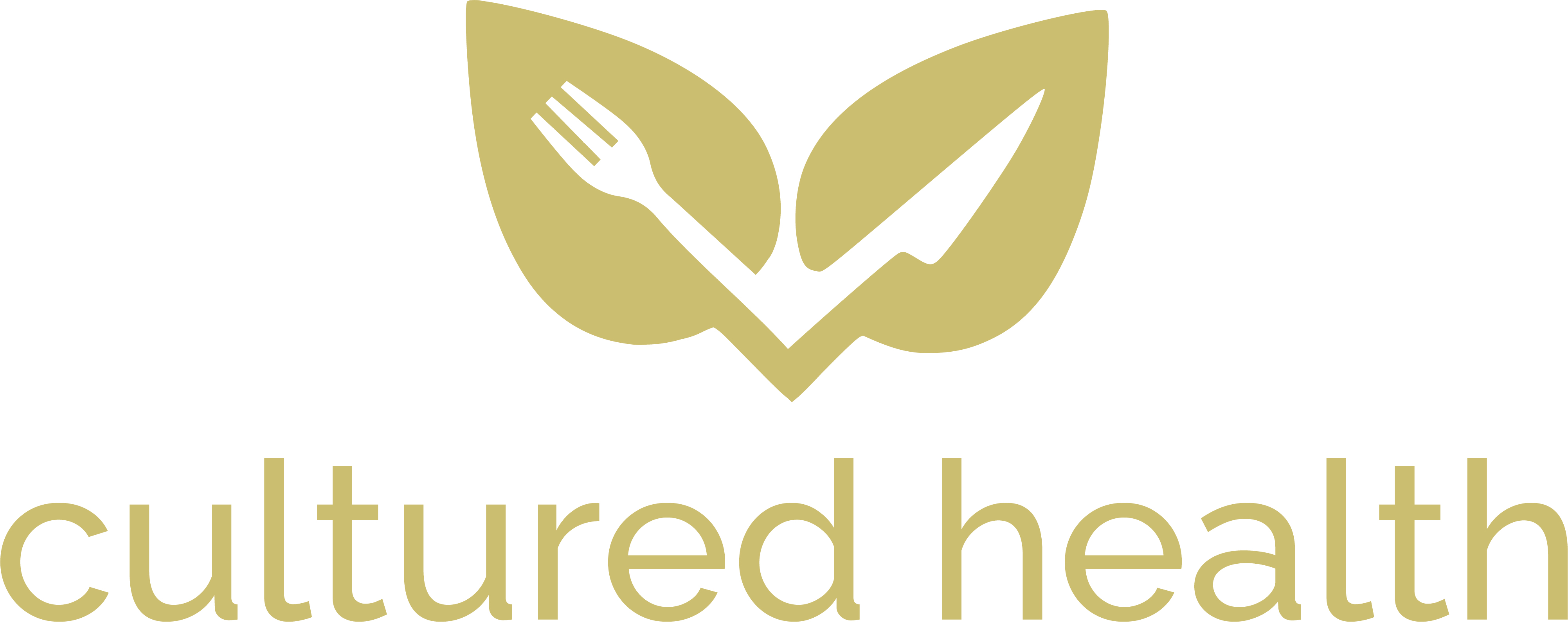 Introducing Cultured Health: Empowering Wellness Through Cultural Connection