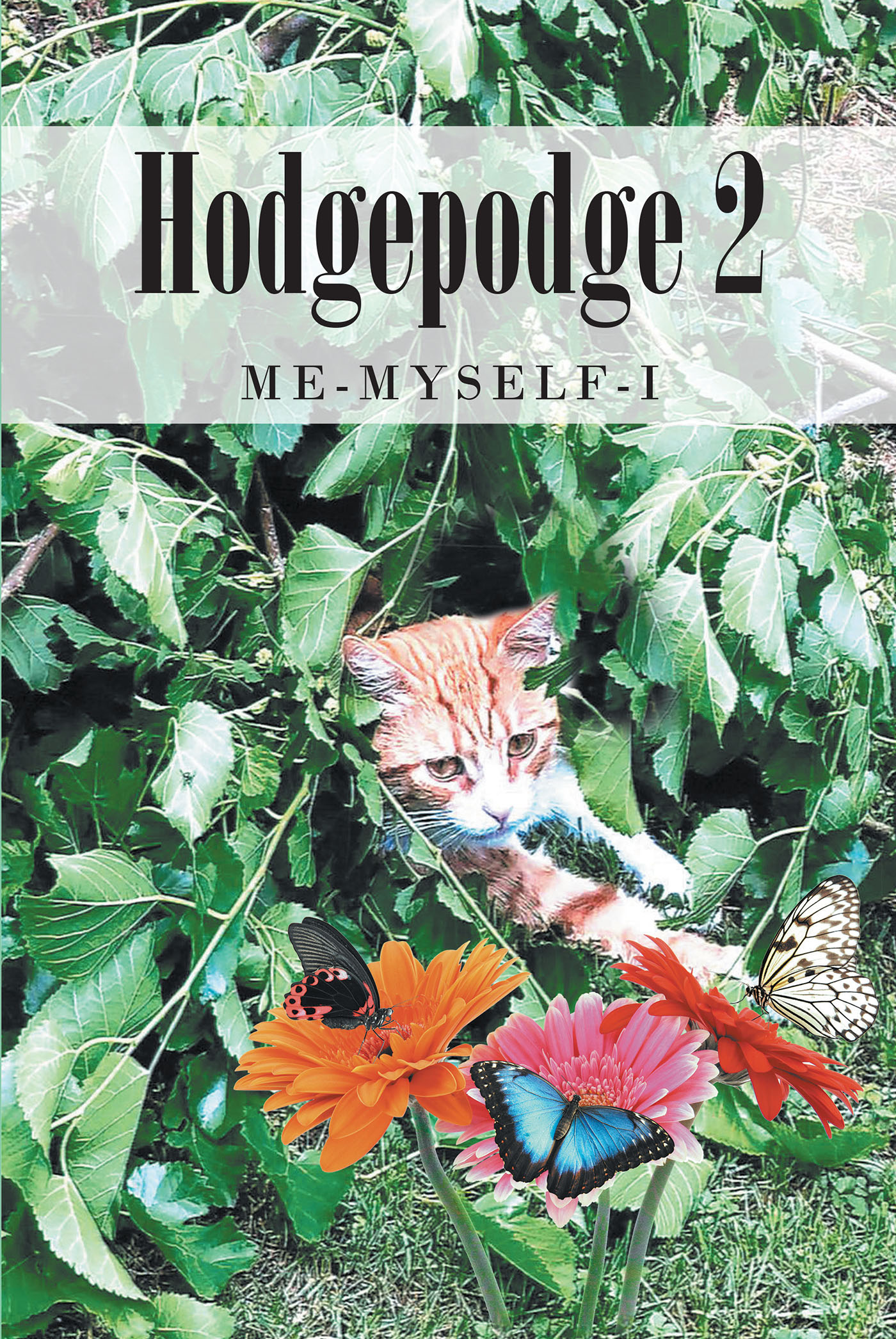 Author Jeannette Mann’s New Book, "Hodgepodge 2," is a Moving Memoir That Allows Readers to Experience the Highs and Lows of the Author’s Life