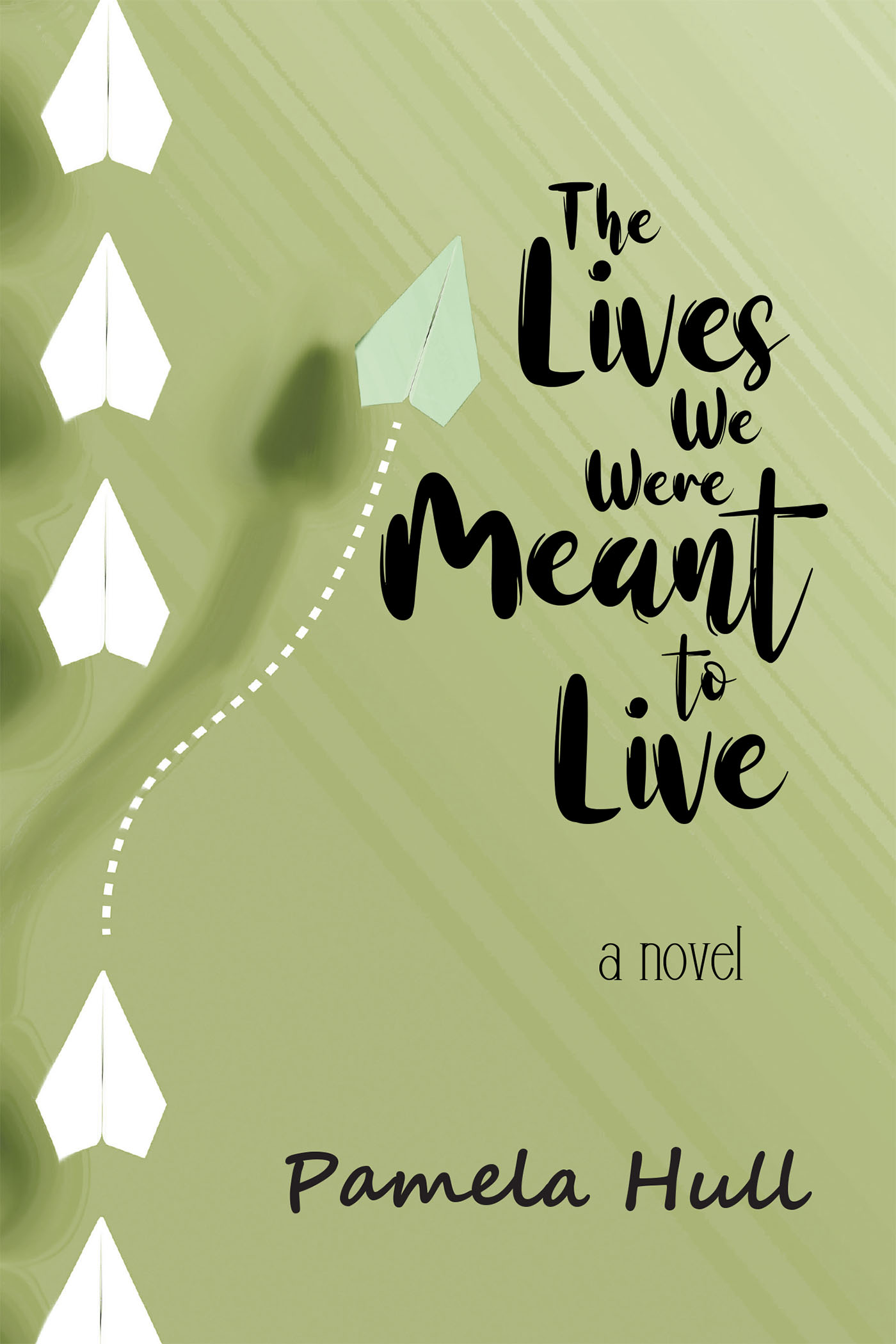 Author Pamela Hull’s New Book, "The Lives We Were Meant to Live," is a Dramatic Story of One Family’s Secrets, Choices, and Consequences