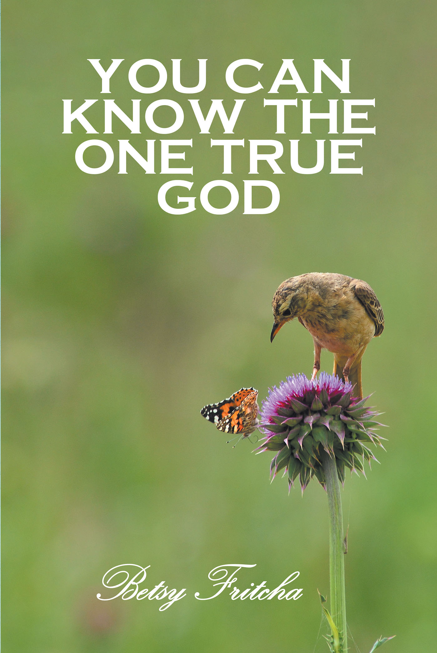 Betsy Fritcha’s Newly Released "You Can Know the One True God" is an Interactive Learning Experience That Encourages Active Use of the Bible