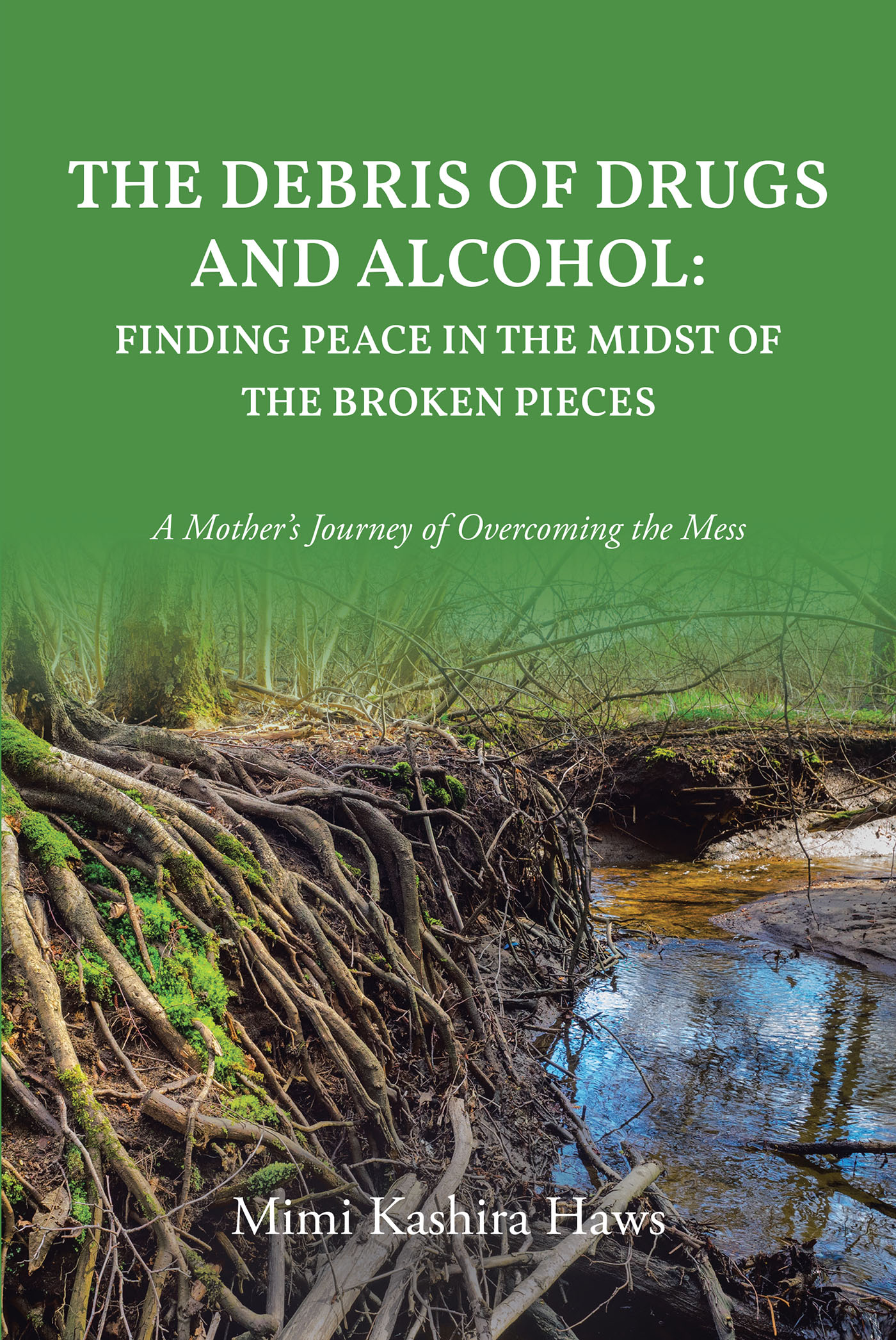 Mimi Kashira Haws’s Newly Released “The Debris of Drugs and Alcohol: Finding Peace in the Midst of the Broken Pieces” is a Powerful Account of a Mother’s Journey