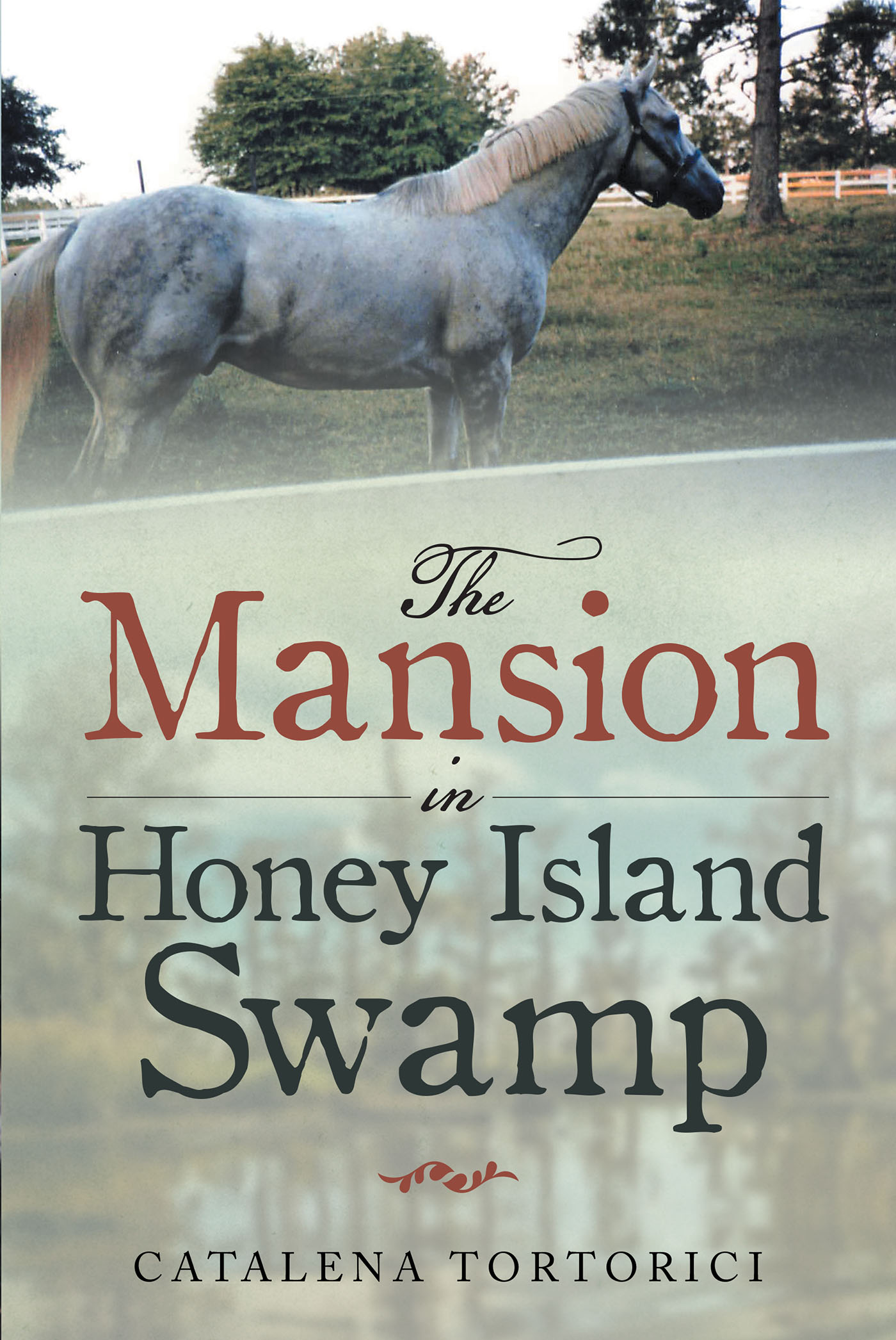 Author Catalena Tortorici’s new book, “The Mansion in Honey Island Swamp,” is a  Riveting Work of Historical Fiction Set in the Civil War-Era South