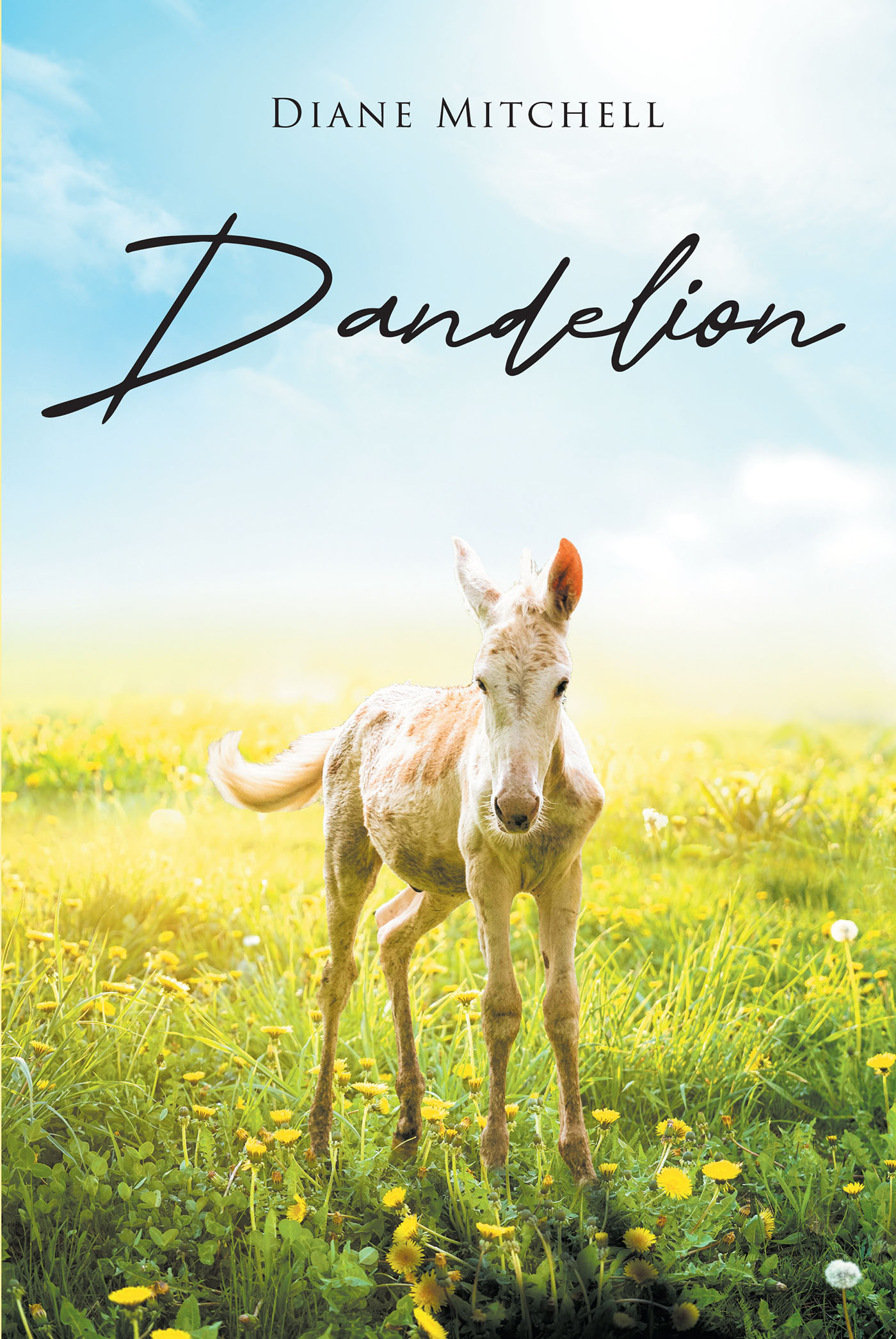 Diane Mitchell’s New Book, "Dandelion," is a Moving Romance About Love Persevering Over Hardship Backdropped by the Wild Mustang Roundups of the Early 20th Century