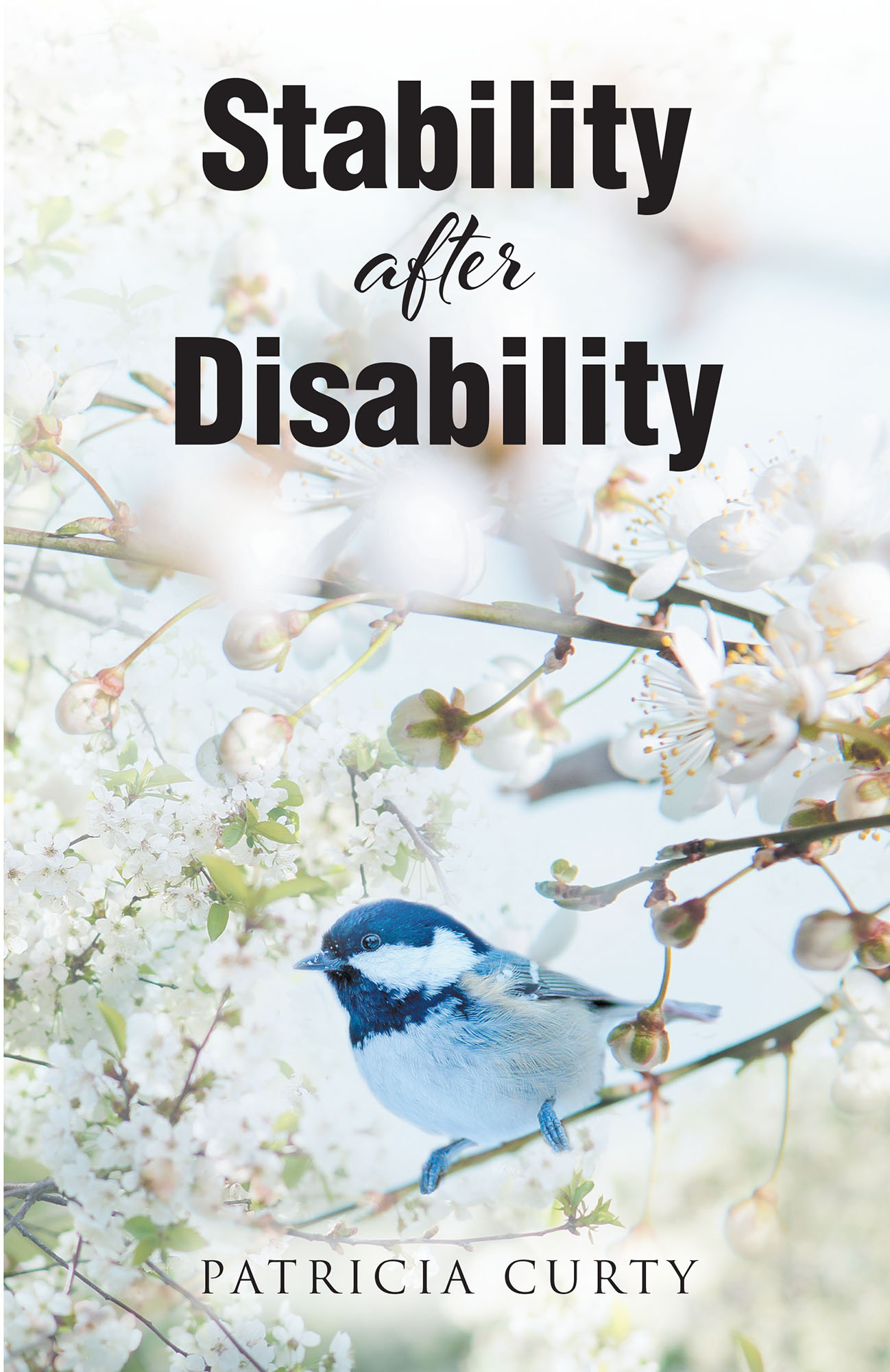 Patricia Curty’s Newly Released "Stability After Disability" is an Encouraging Discussion of Navigating Life with a Disability
