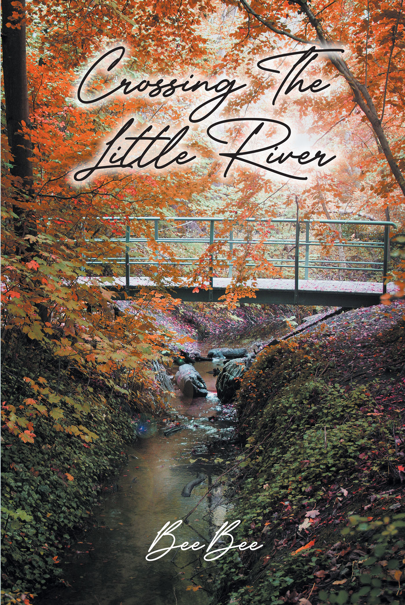 BeeBee’s Newly Released "Crossing The Little River" is a Vividly Detailed Account of a Woman’s Journey Through Life