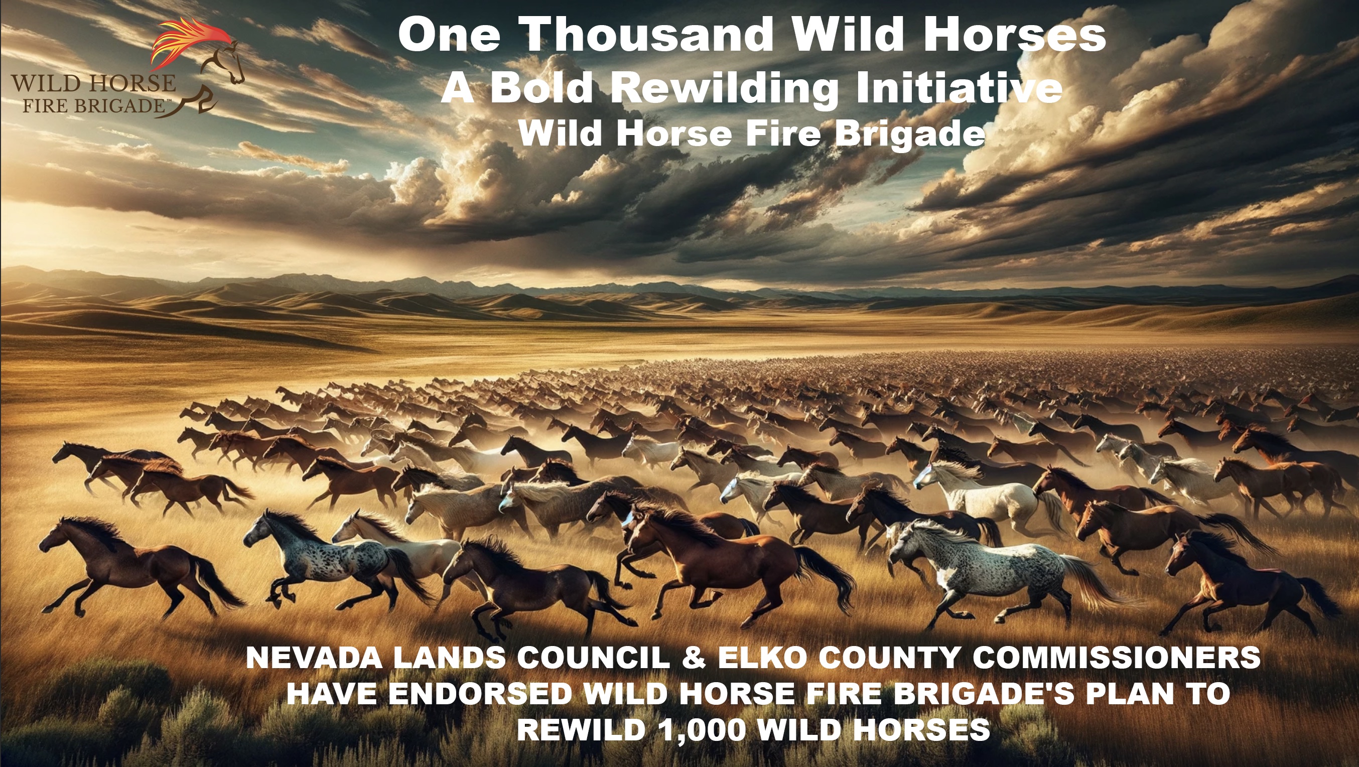 Wild Horse Fire Brigade Announces Historic Environmental Initiative on Earth Day - Plan to ReWild 1,000 Wild Horses