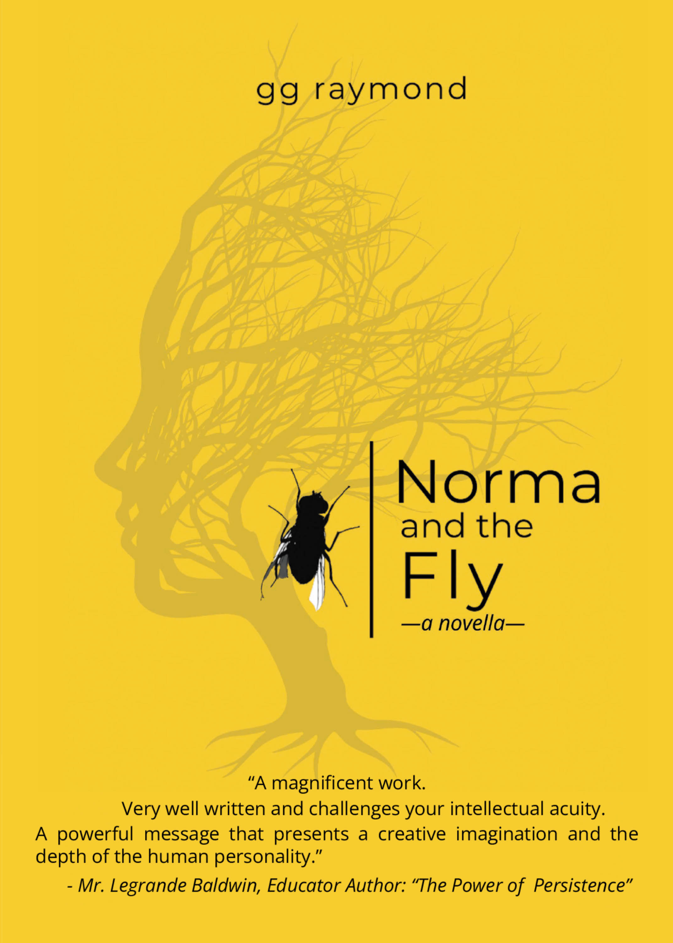 Author gg raymond’s New Book “Norma and the Fly: A Novella” is an Artful Work That Explores What Happens When People Find Themselves Baffled by Life’s Unscripted Detours