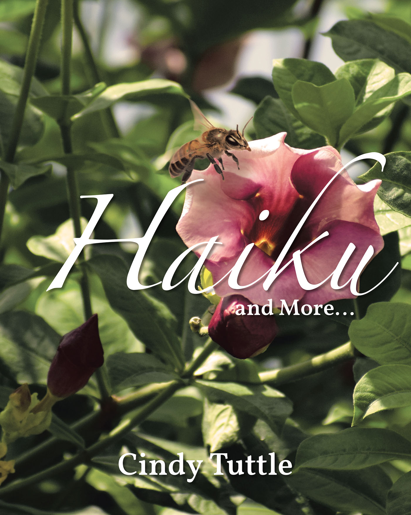 Cindy Tuttle’s Newly Released "Haiku and More" is a Tranquil Journey Through Moments of Serenity and Reflection