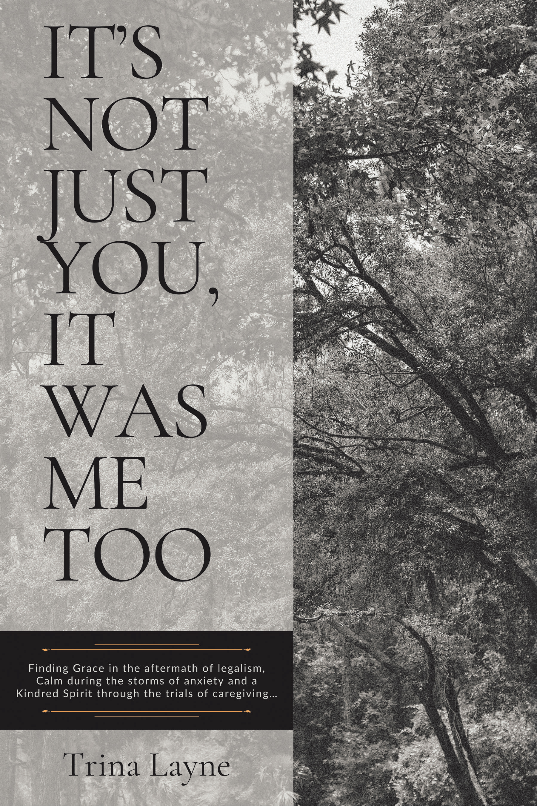 Trina Layne’s Newly Released "It’s Not Just You, It Was Me Too" Offers Comfort and Guidance Through Life’s Challenges