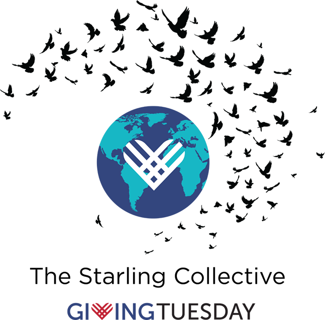 GivingTuesday Announces the First Cohort of the Starling Collective