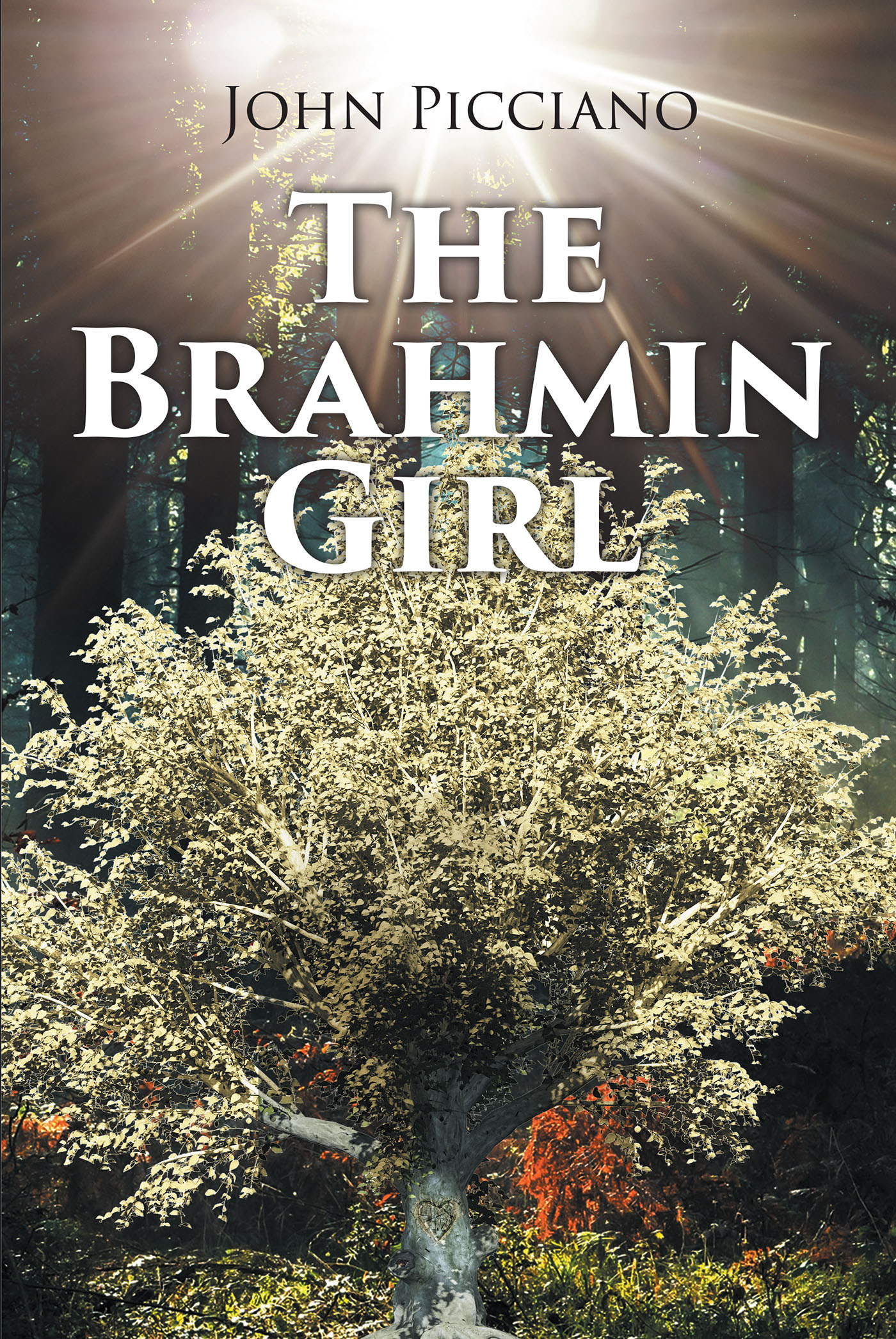 Author John Picciano’s New Book, "The Brahmin Girl," is a Fascinating Tale of Two Murders Set Forty-Five Years Apart, Yet Intrinsically Linked by the Latter Victim