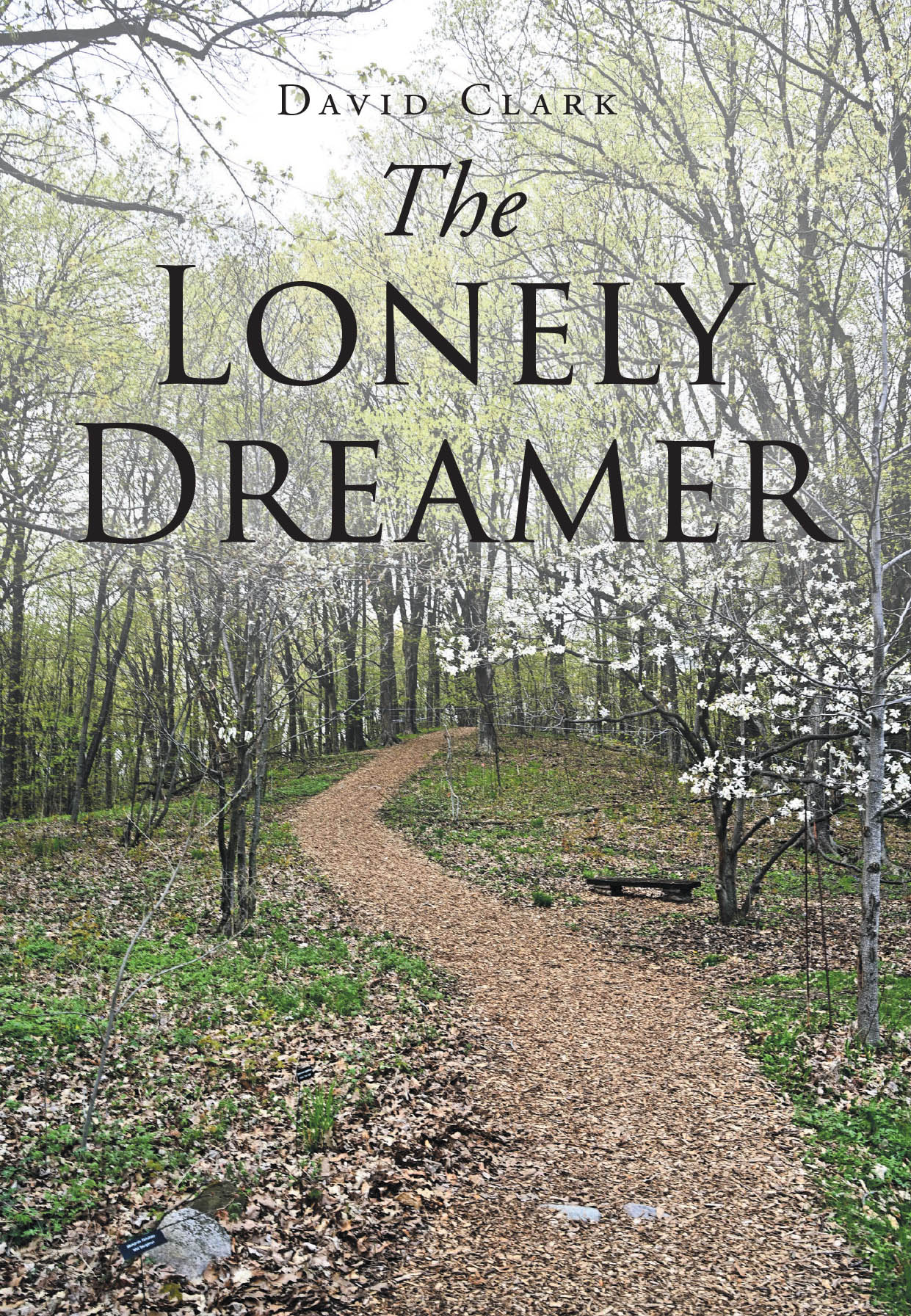 Author David Clark’s New Book, "The Lonely Dreamer," is a Captivating Series of Short Stories That Weaves Together Tales of Humor, Introspection, and Human Resilience