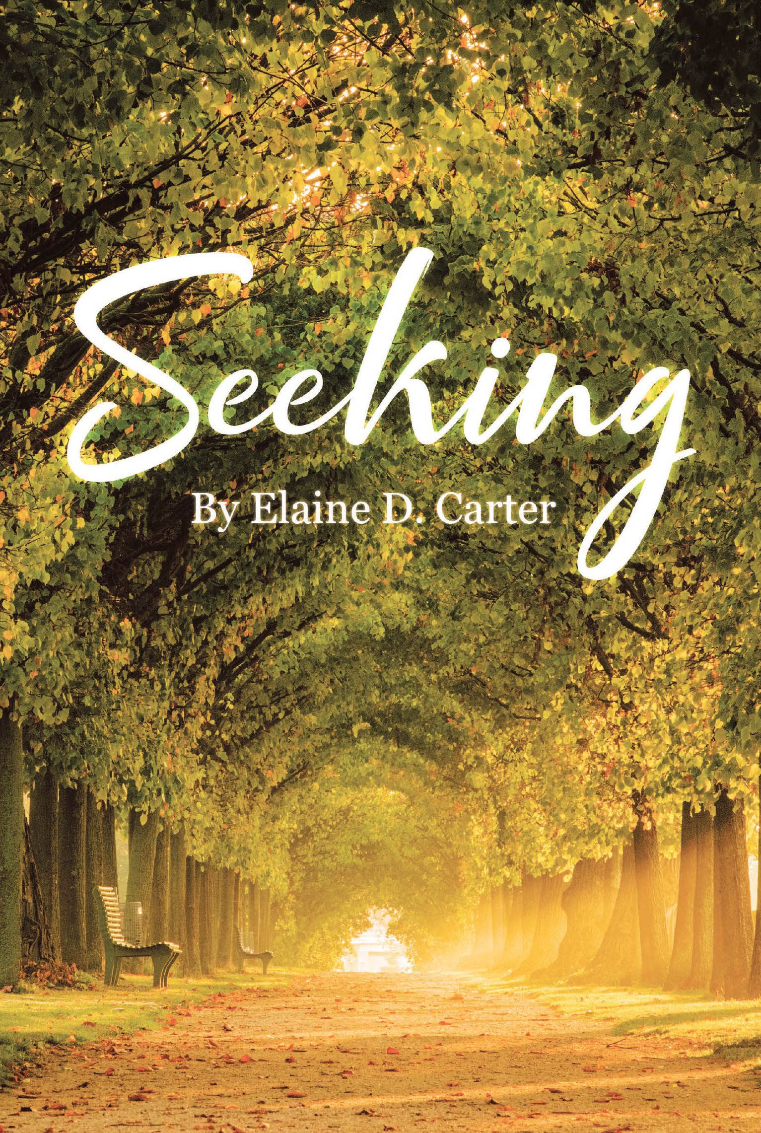 Author Elaine D. Carter’s New Book, "Seeking," is a Compelling Novel That Follows the Lives of Two Individuals Searching for Happiness and, Ultimately, Love