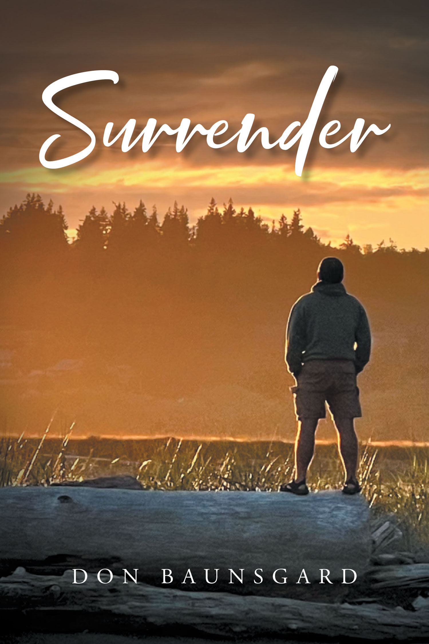 Author Don Baunsgard’s New Book, "Surrender," is a Profound Exploration of Faith and the Transformative Power of Letting Go of One’s Past for the Future