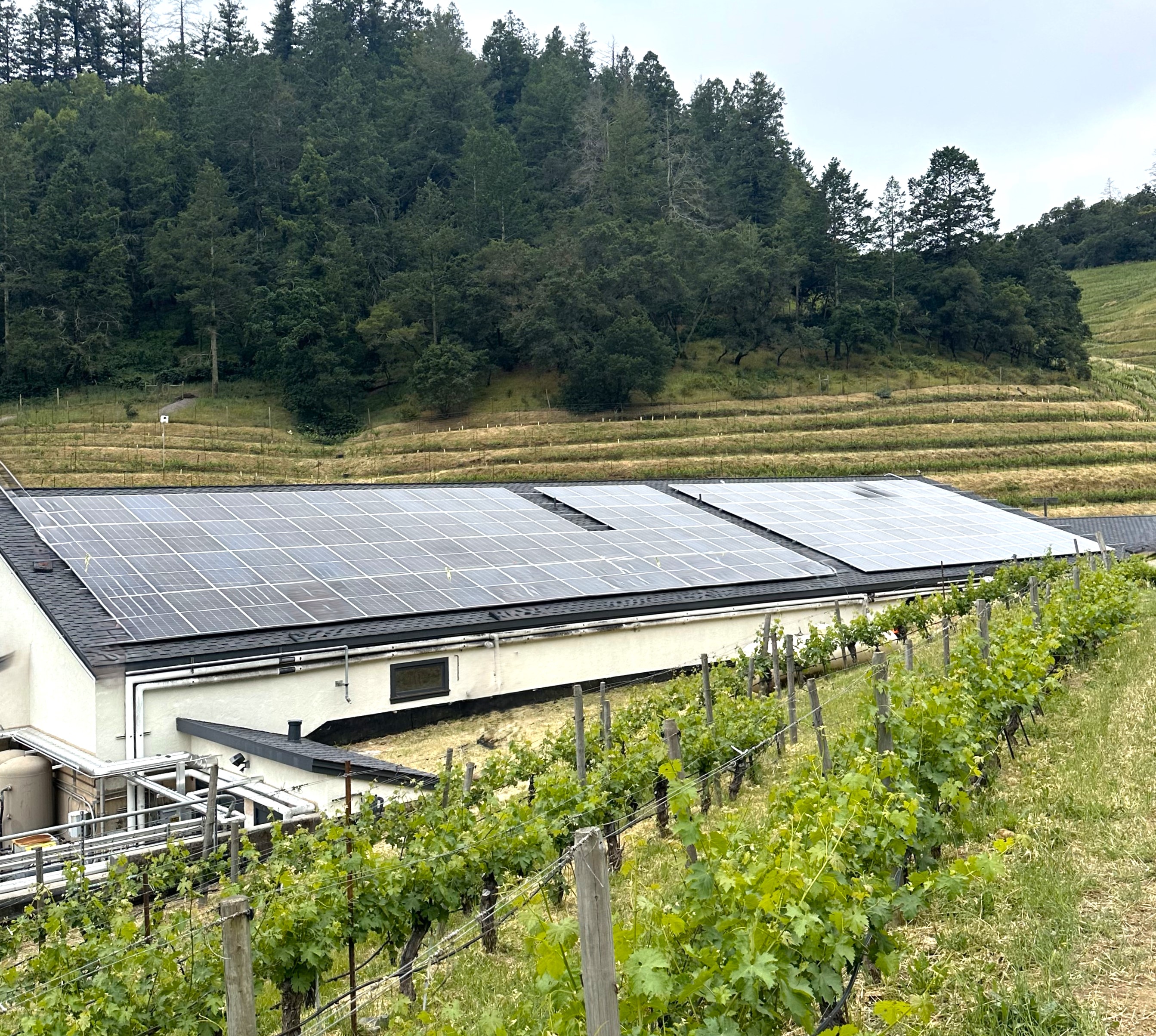 SolarCraft Powers Up Pine Ridge Vineyards with a New Solar Installation - Napa Valley Winery Teams Up with SolarCraft to Embrace Sustainability