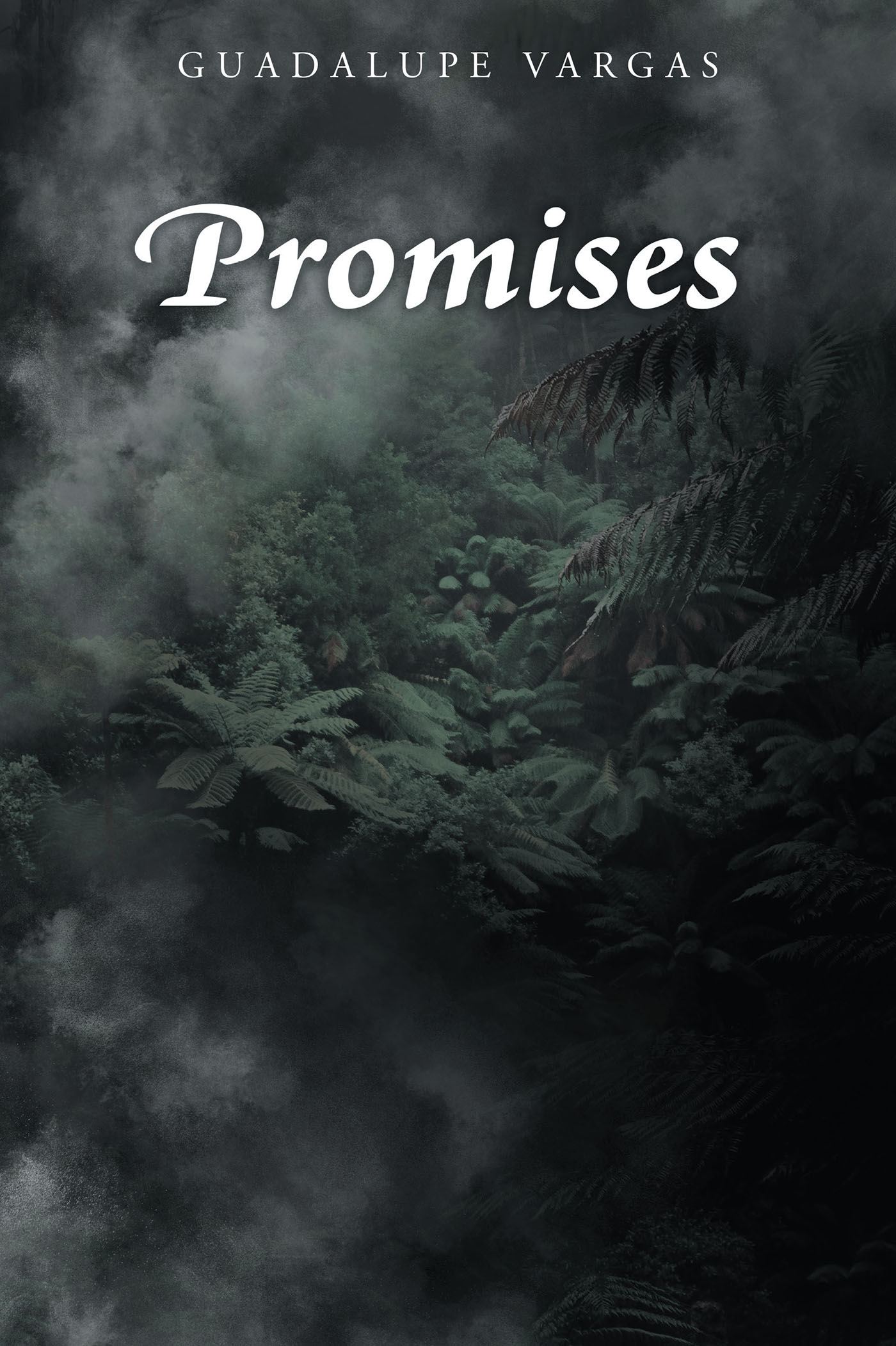 Guadalupe Vargas’s New Book, "Promises," Explores the Harrowing Journey of Soldiers in the Vietnam War as They Confront Danger, Camaraderie, and Profound Loss