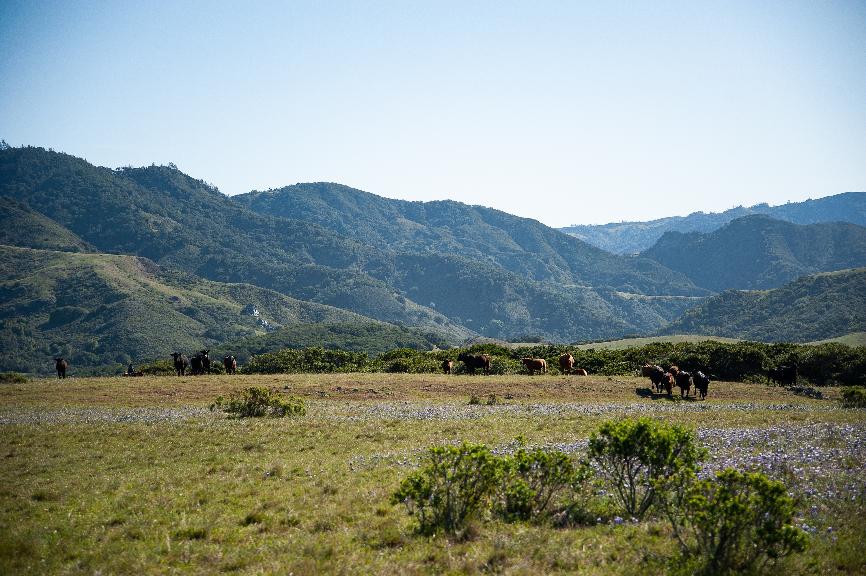 Partnership of Rangeland Trusts Celebrates 20 Years of Impact