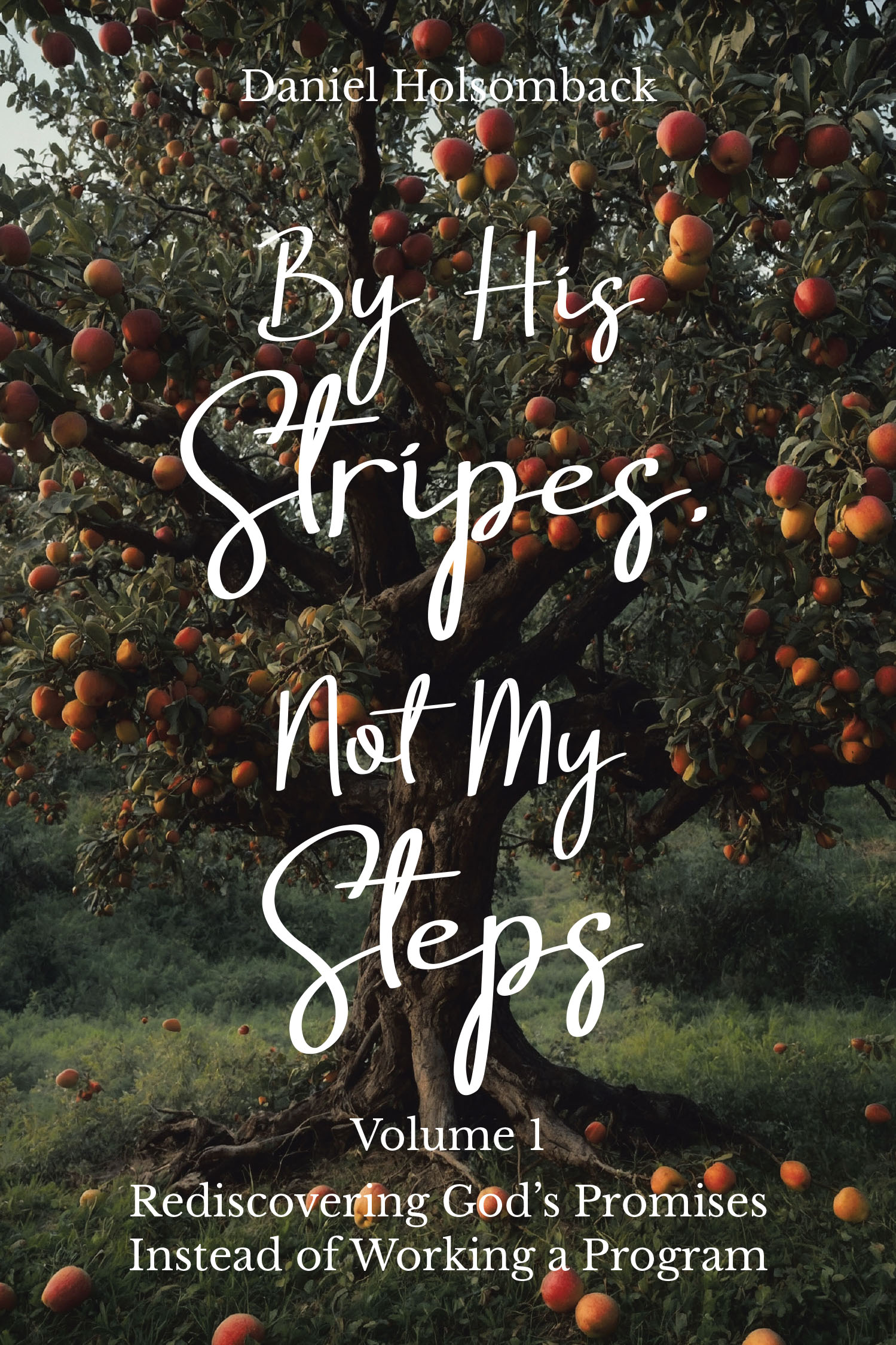 Daniel Holsomback’s Newly Released “By His Stripes, Not My Steps” Offers an Empowering Spiritual Guide to Overcoming Brokenness