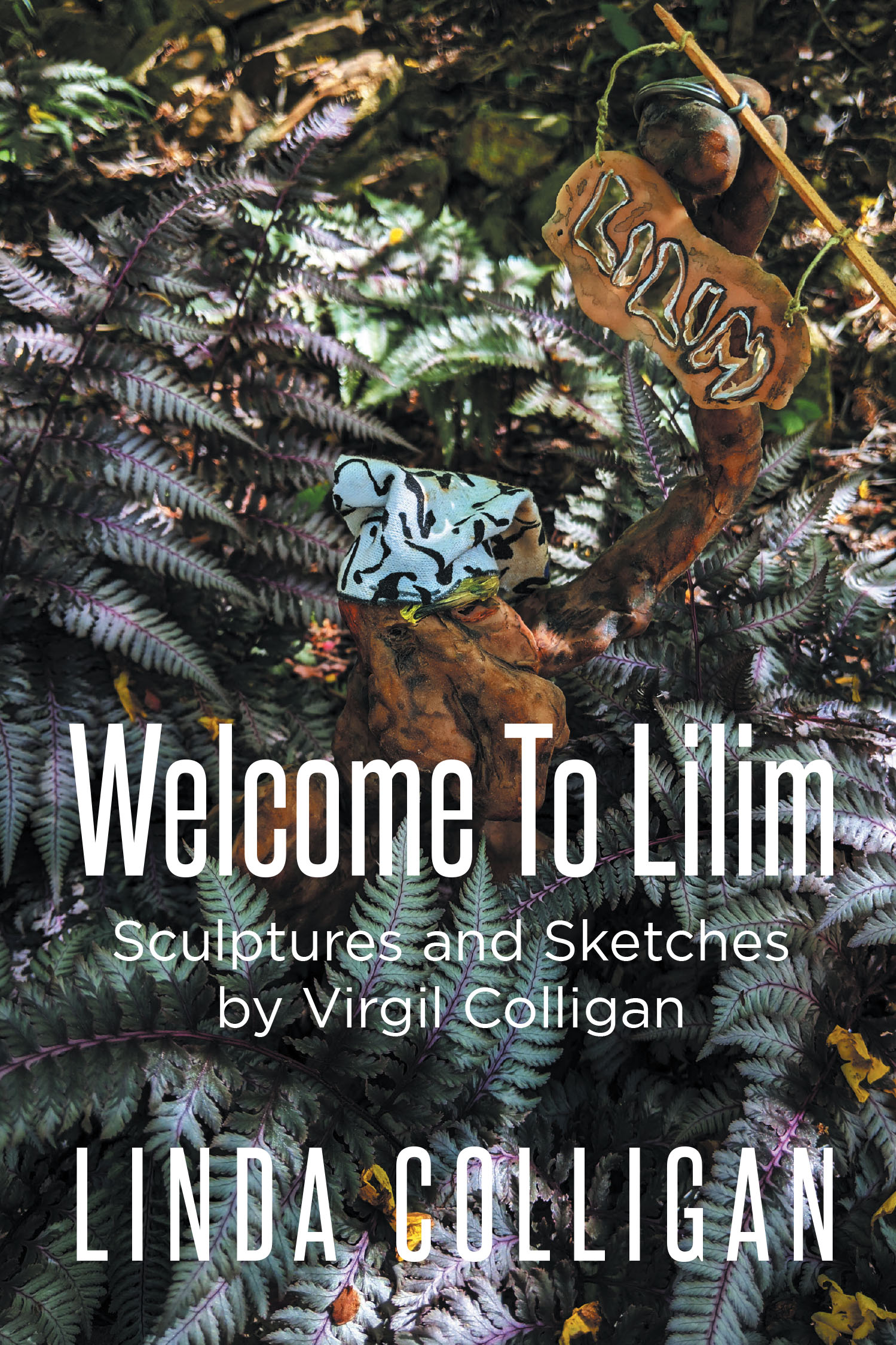 Author Linda Colligan’s New Book, "Welcome to Lilim," Centers Around Two Young Friends Who Must Find Their Way Home After Being Transported to the World of Lilim