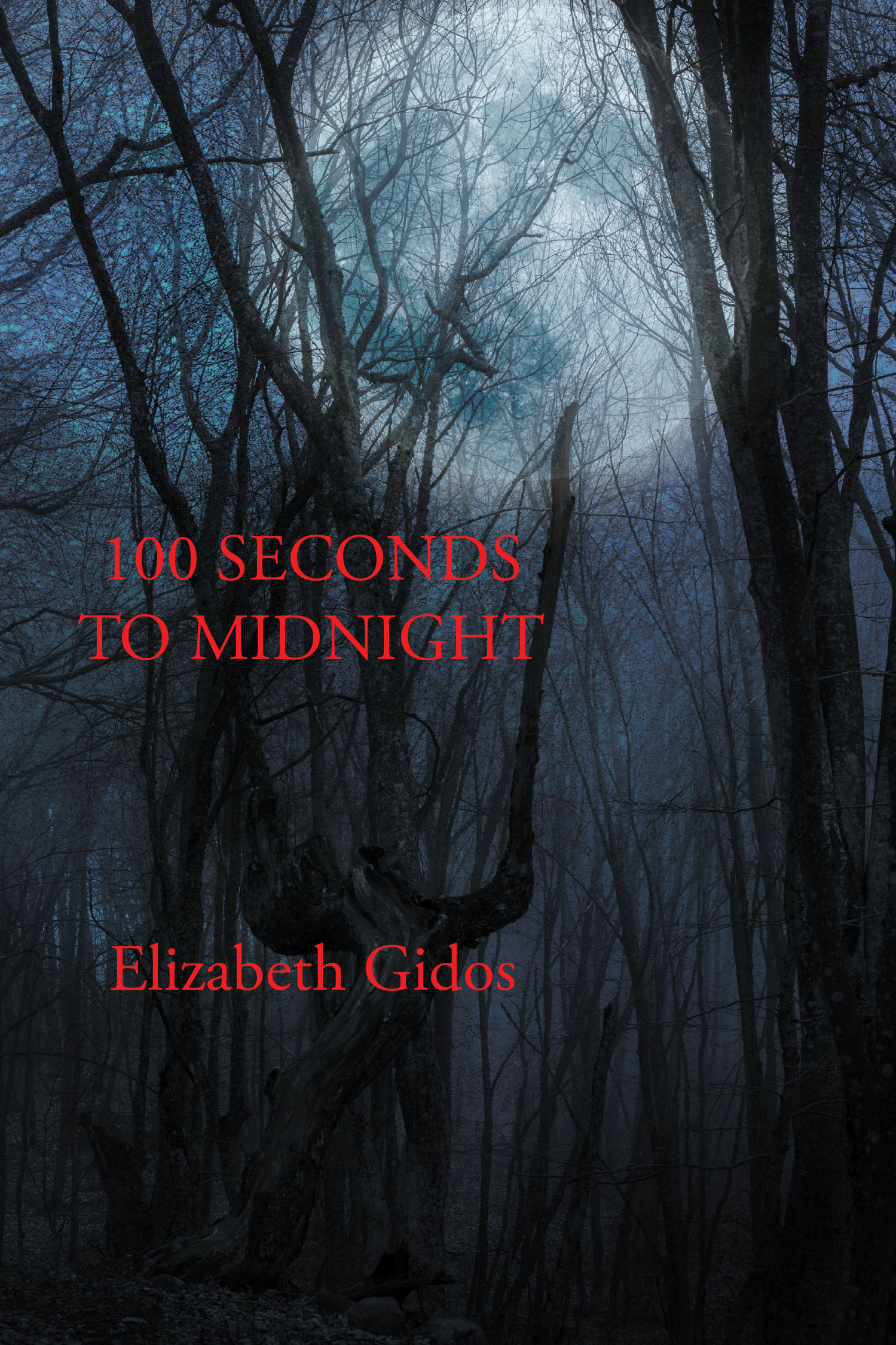 Author Elizabeth Gidos’ New Book “100 Seconds to Midnight” is a Music Styled Poetry Collection