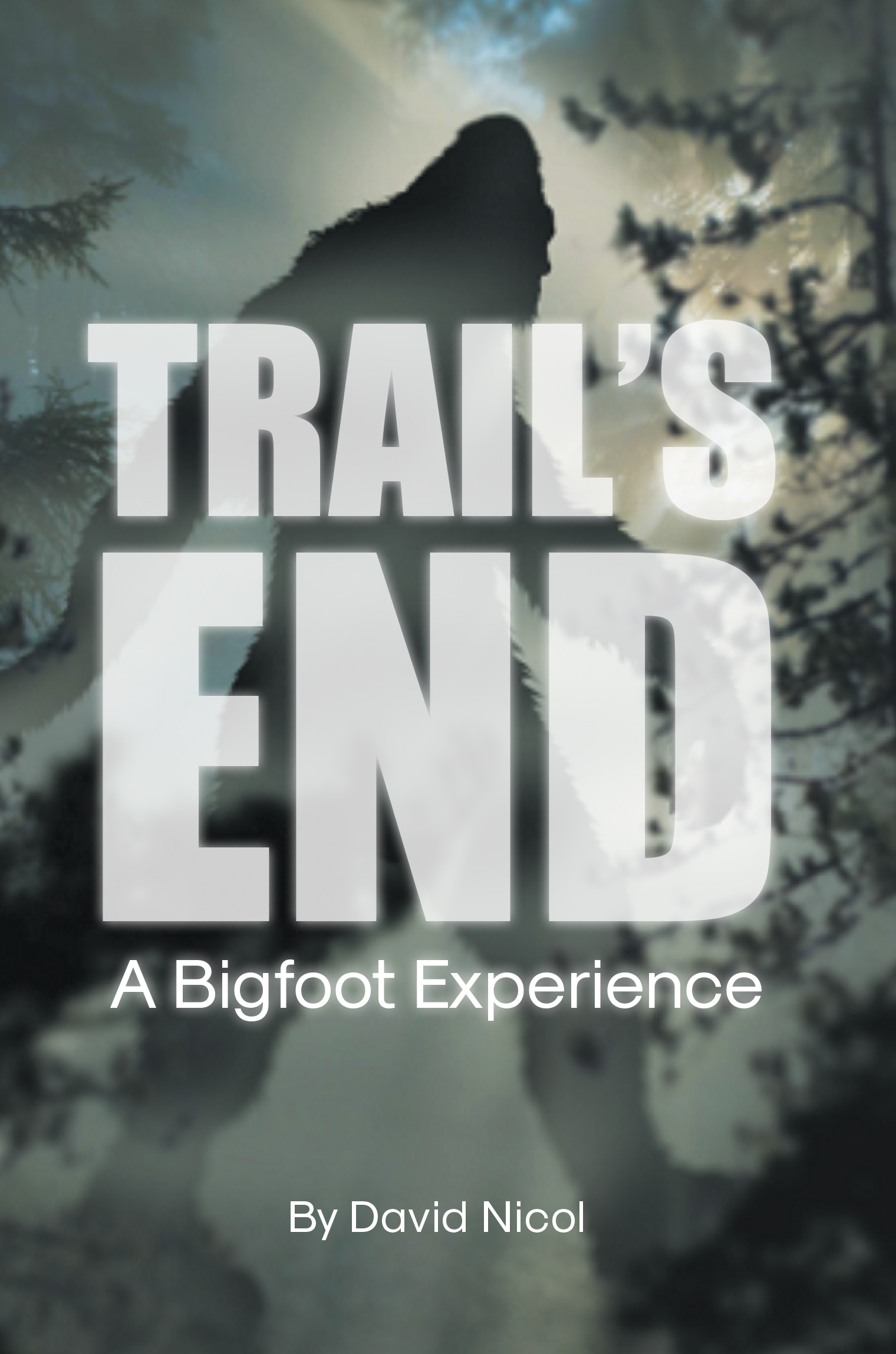 Author David Nicol’s New Book “Trail's End: A Bigfoot Experience” is a Riveting Tale That Follows One Young Man’s Incredible Brush with a Bigfoot Tribe