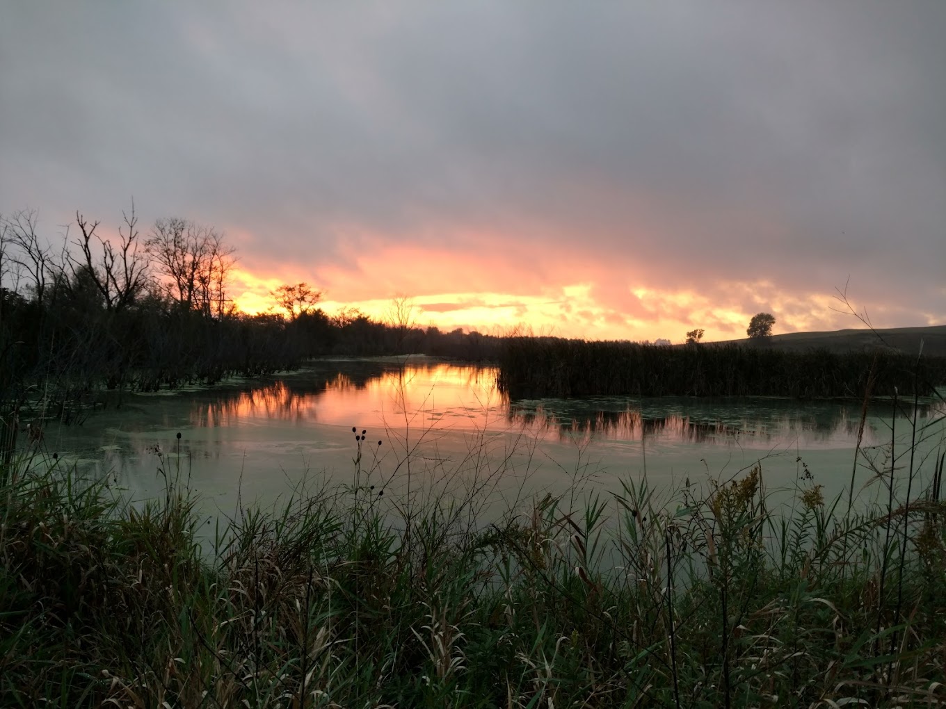 Iowa Wetlands to be Conserved