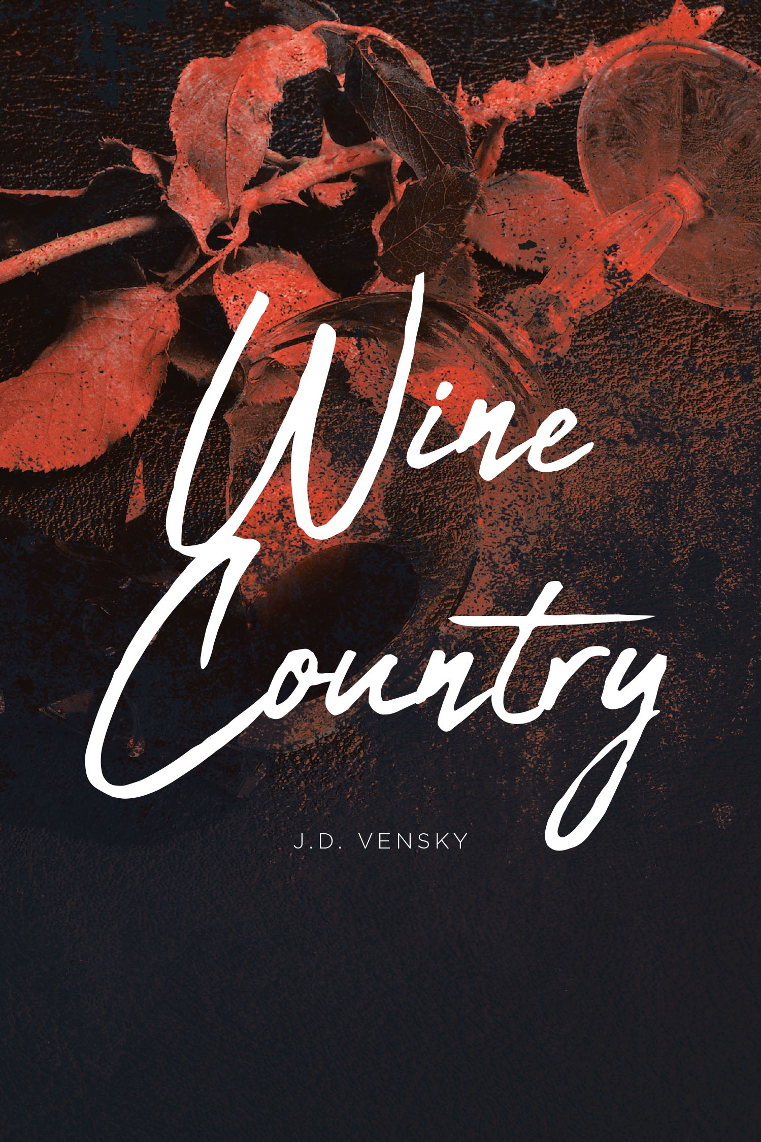 J.D. Vensky’s New Book, "Wine Country," Centers Around a Young Man Whose Life Takes a Dramatic Turn When He Inherits a Mysterious Vineyard with a Dark Past