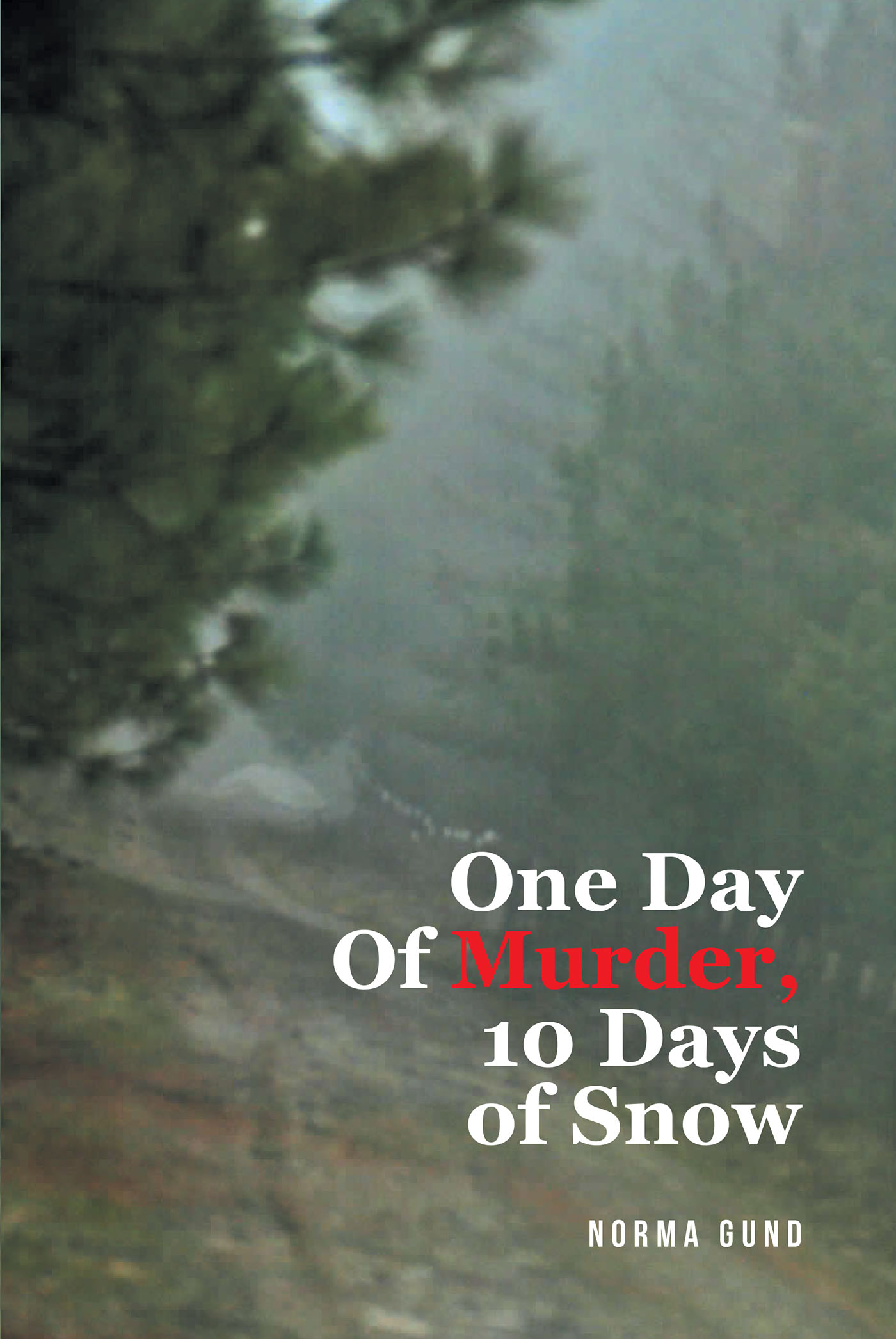 Norma Gund’s New Book “One Day of Murder, 10 Days of Snow” is a Powerful Memoir Detailing How the Author’s Life Was Forever Changed by a Horrific Attack in 2011