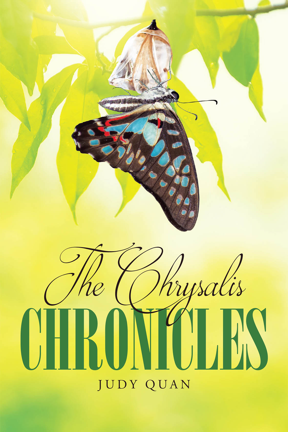 Author Judy Quan’s New Book, "The Chrysalis Chronicles," is a Compelling True Story Exploring Themes of Transformation, Growth, Resilience, and Lasting Faith