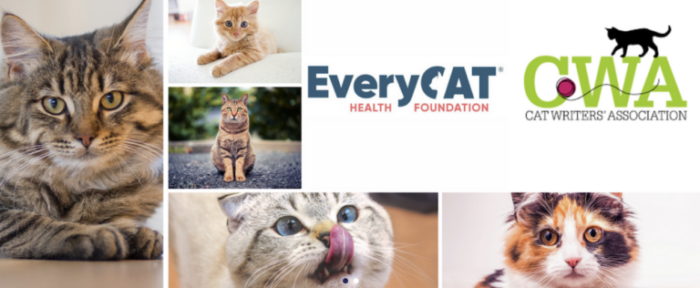 EveryCat Health Foundation Honored as a Recipient of Cat Writers' Association Annual Fundraiser