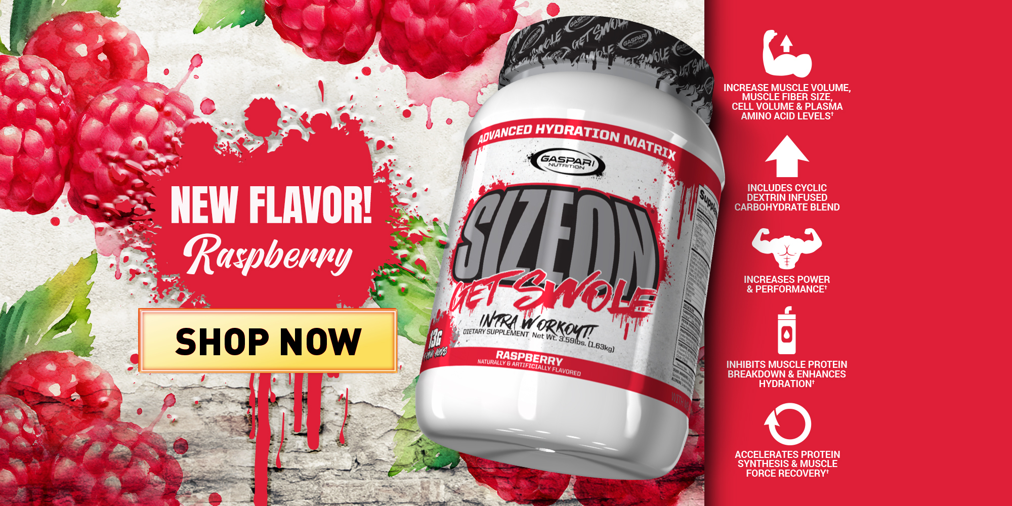 Amid 34% Market Growth, Gaspari Nutrition Expands Legendary Sizeon Line with New Raspberry Formula