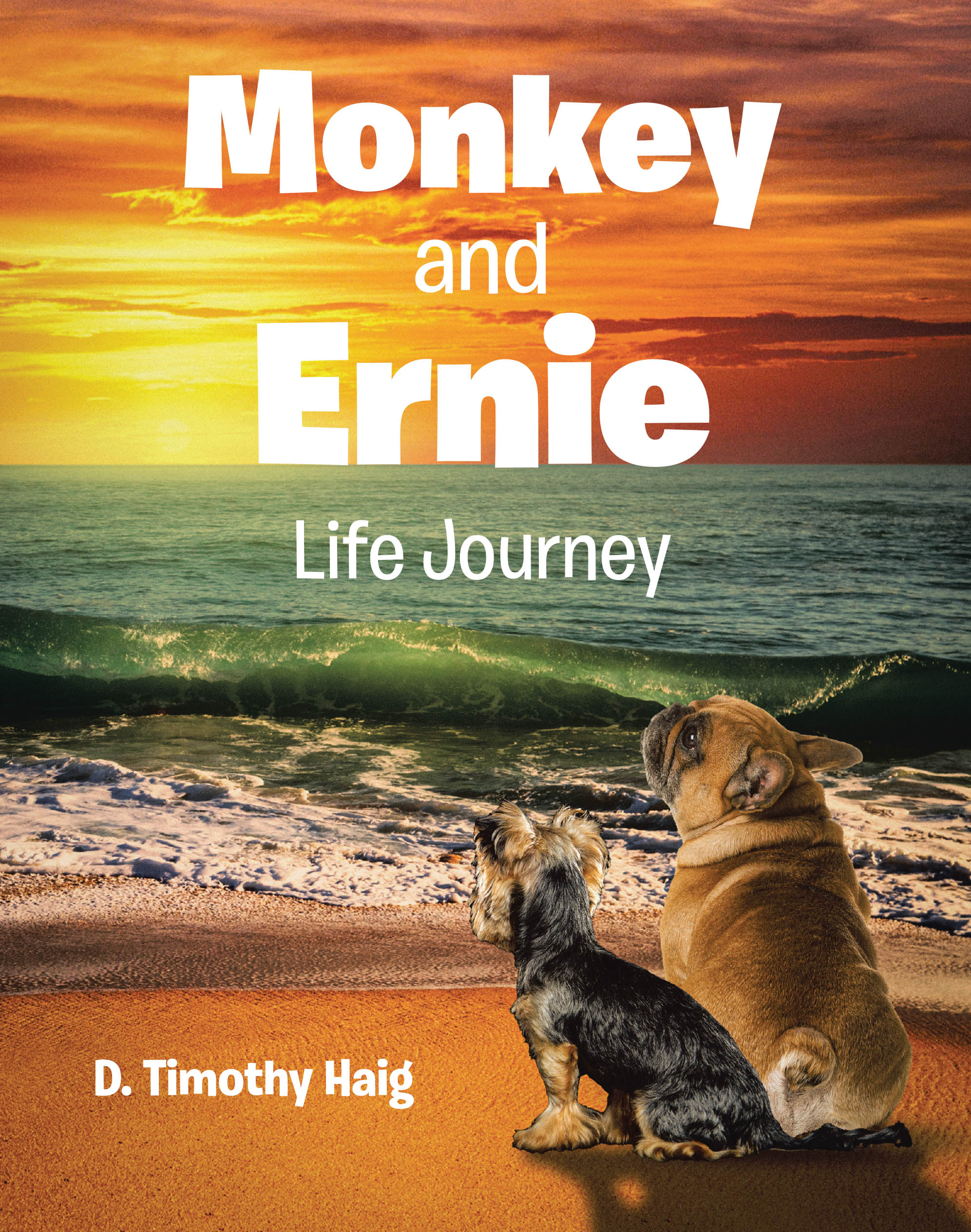 D. Timothy Haig’s Newly Released "Monkey and Ernie: Life Journey" is a Heartfelt Tale of Unlikely Companionship and Enduring Love