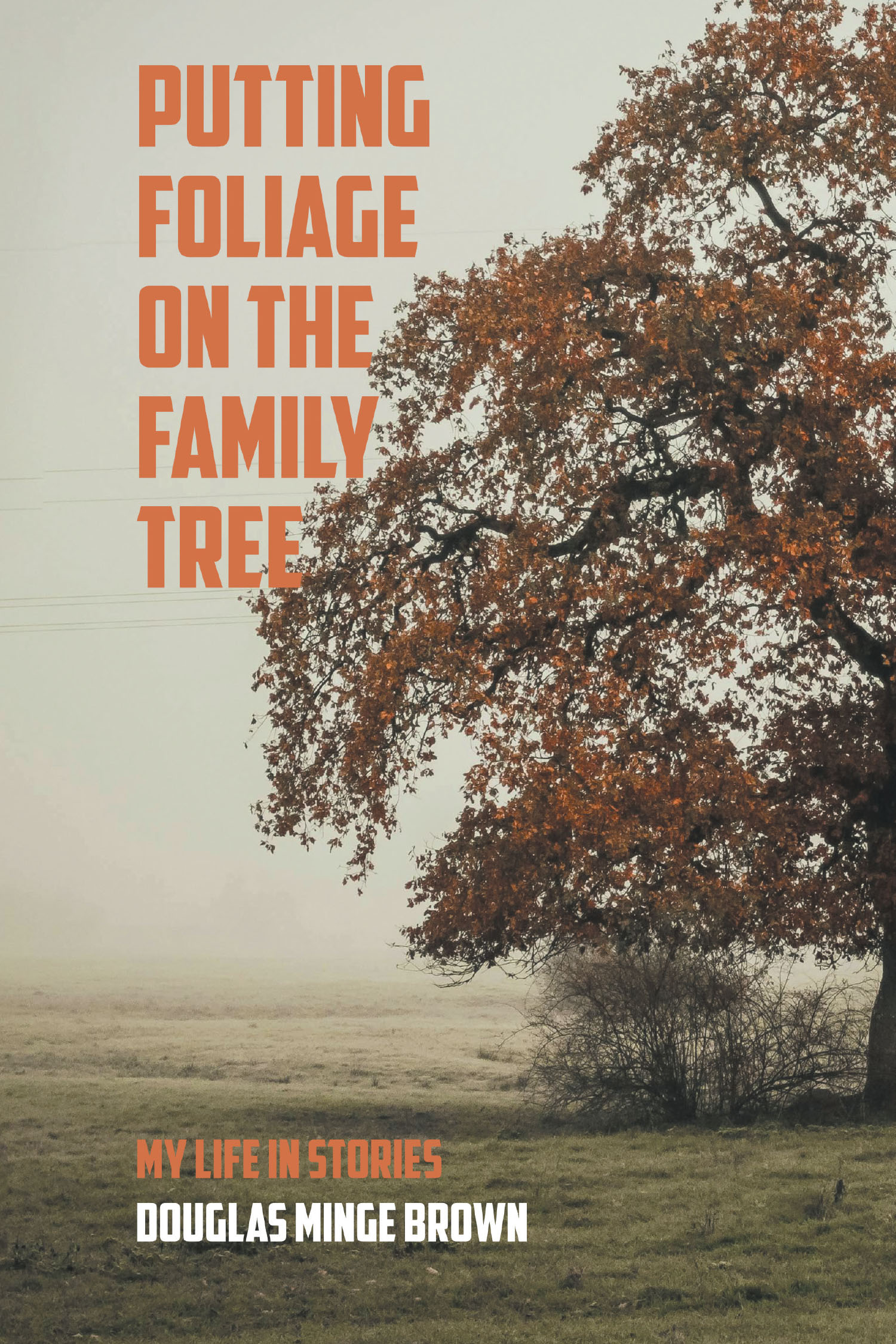 Author Douglas Minge Brown’s New Book, "Putting Foliage on the Family Tree: My Life in Stories," is a Collection of Tales Documenting the Author’s Life Experiences