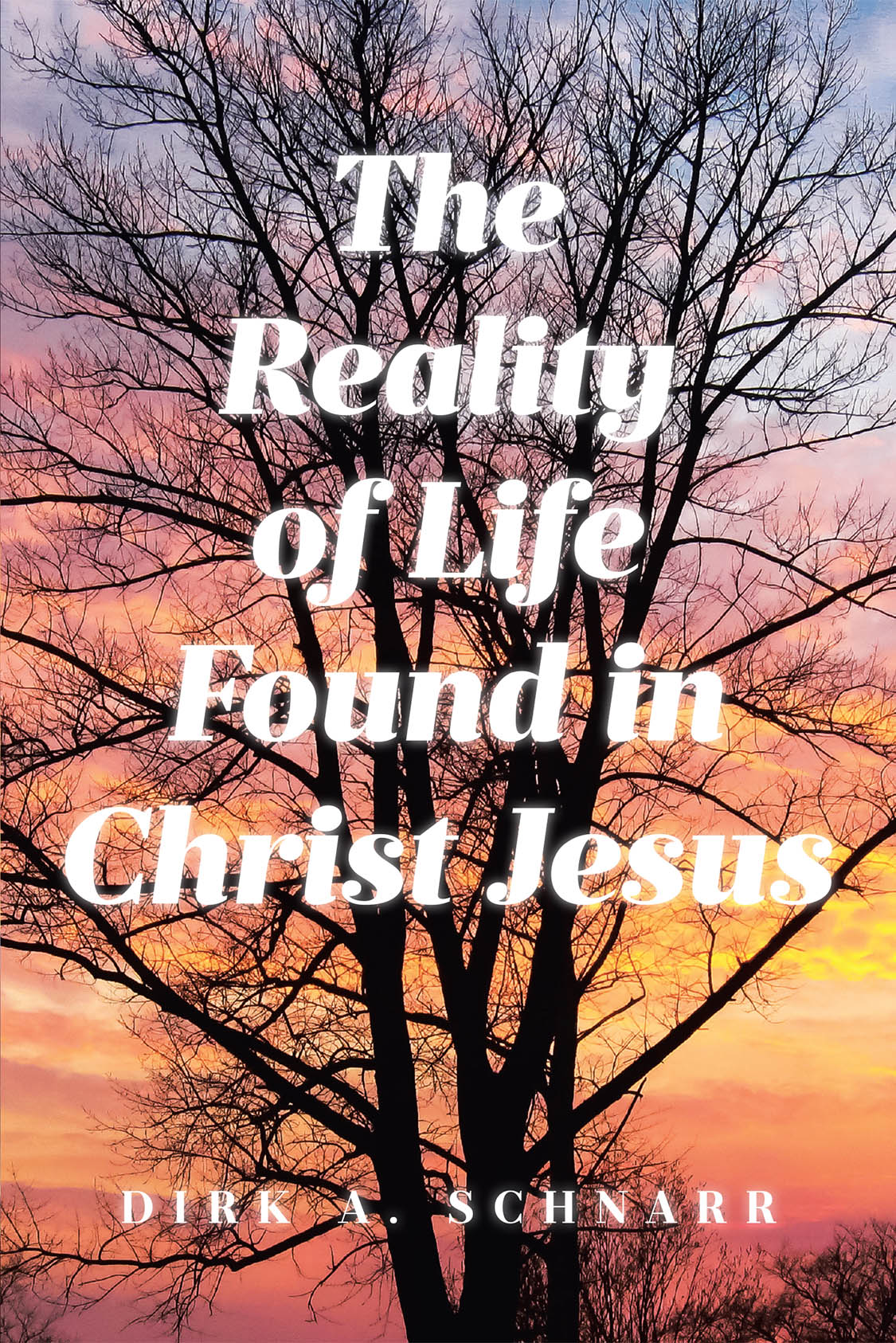 Author Dirk A. Schnarr’s New Book “The Reality of Life Found in Christ Jesus” Explores the Kind of Life Promised to Those Who Follow in Christ’s Teachings