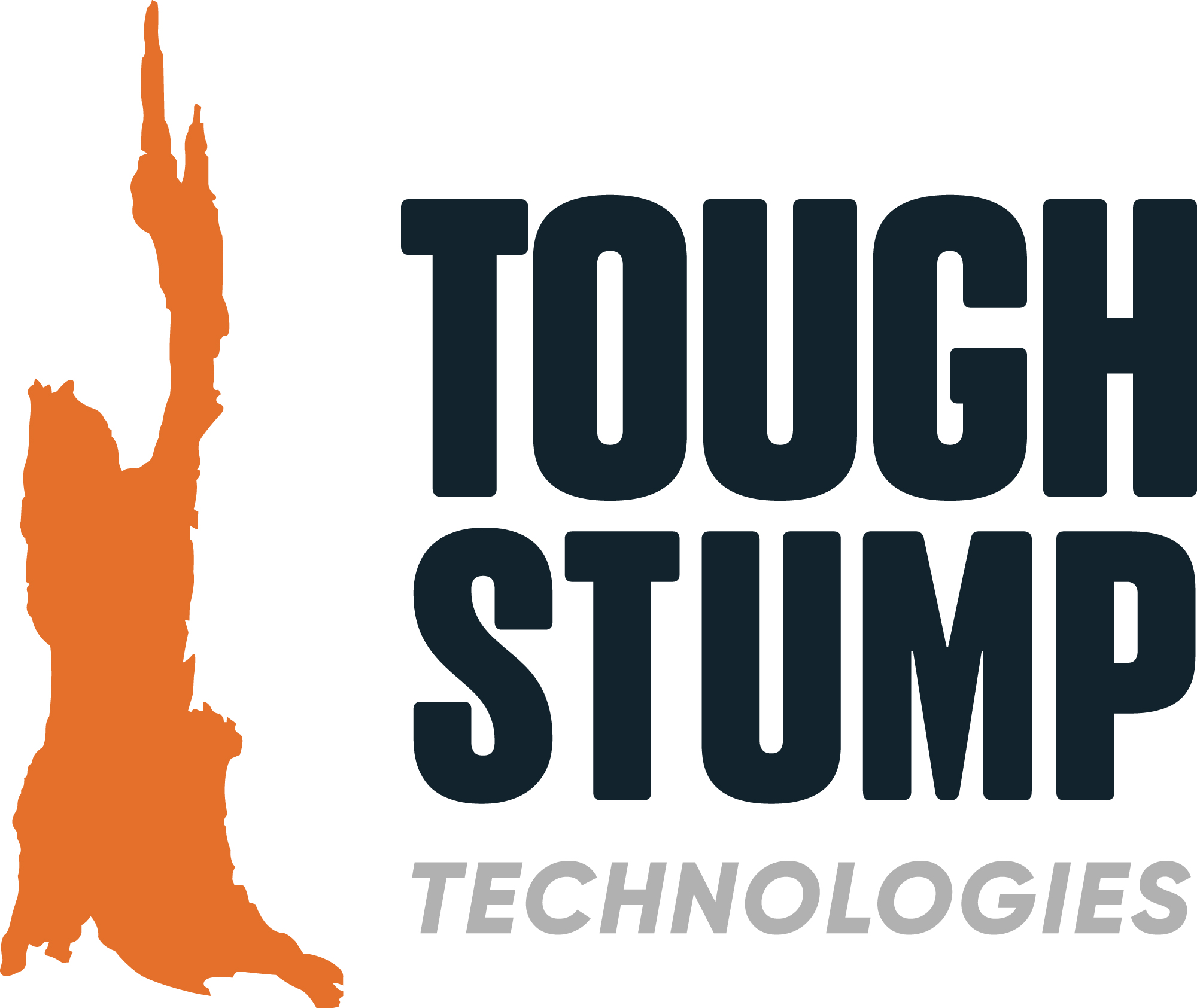 Tough Stump Technologies Names Benjamin Brown as President Amidst Strategic Rebranding and Growth