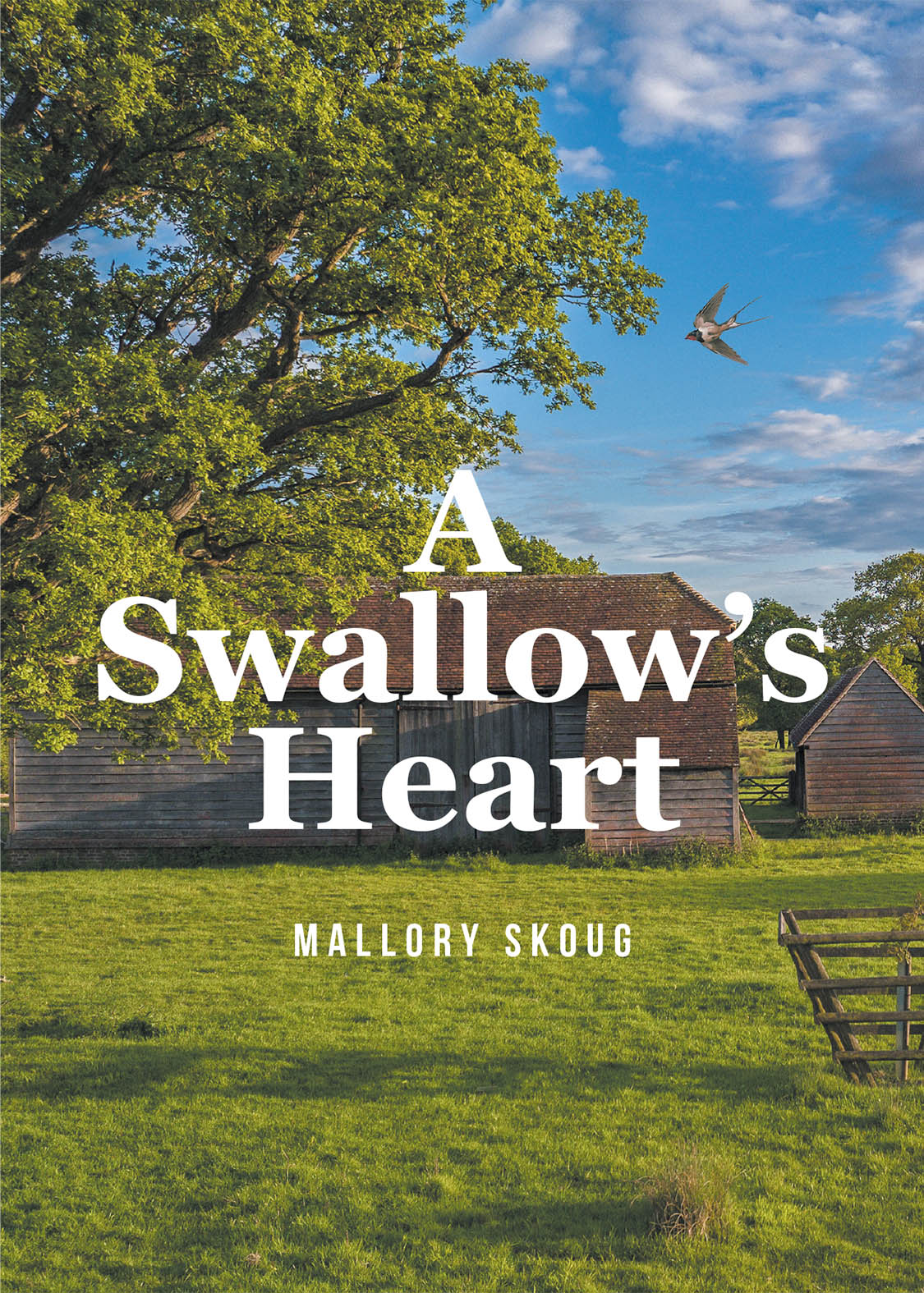 Mallory Skoug’s New Book, "A Swallow's Heart," is a Powerful Story of Faith, Family, and Friendship Set Against the Backdrop of the Impending American Civil War