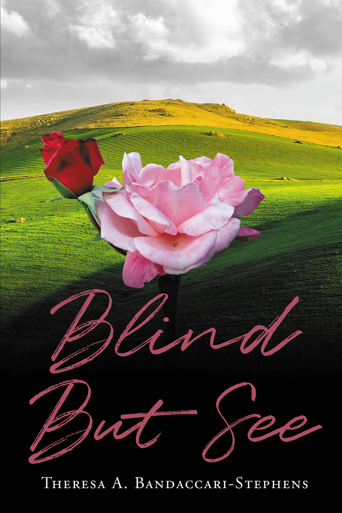 Author Theresa A. Bandaccari-Stephens’s New Book, "Blind But See," is a Stirring Novel That Centers Around the Relationship of a Woman and Her Adoptive Mother