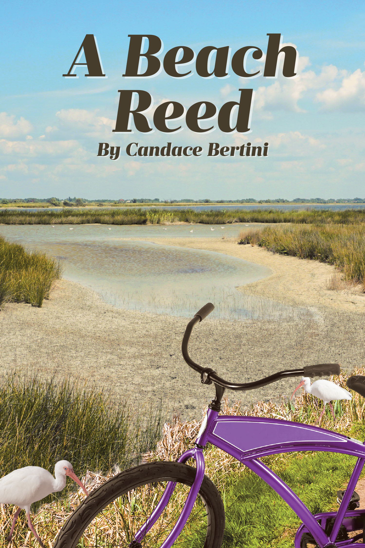 Author Candace Bertini’s New Book, "A Beach Reed," is a Compelling Novel That Follows One Man’s Journey Towards a Surprising Future While Ruminating on the Past