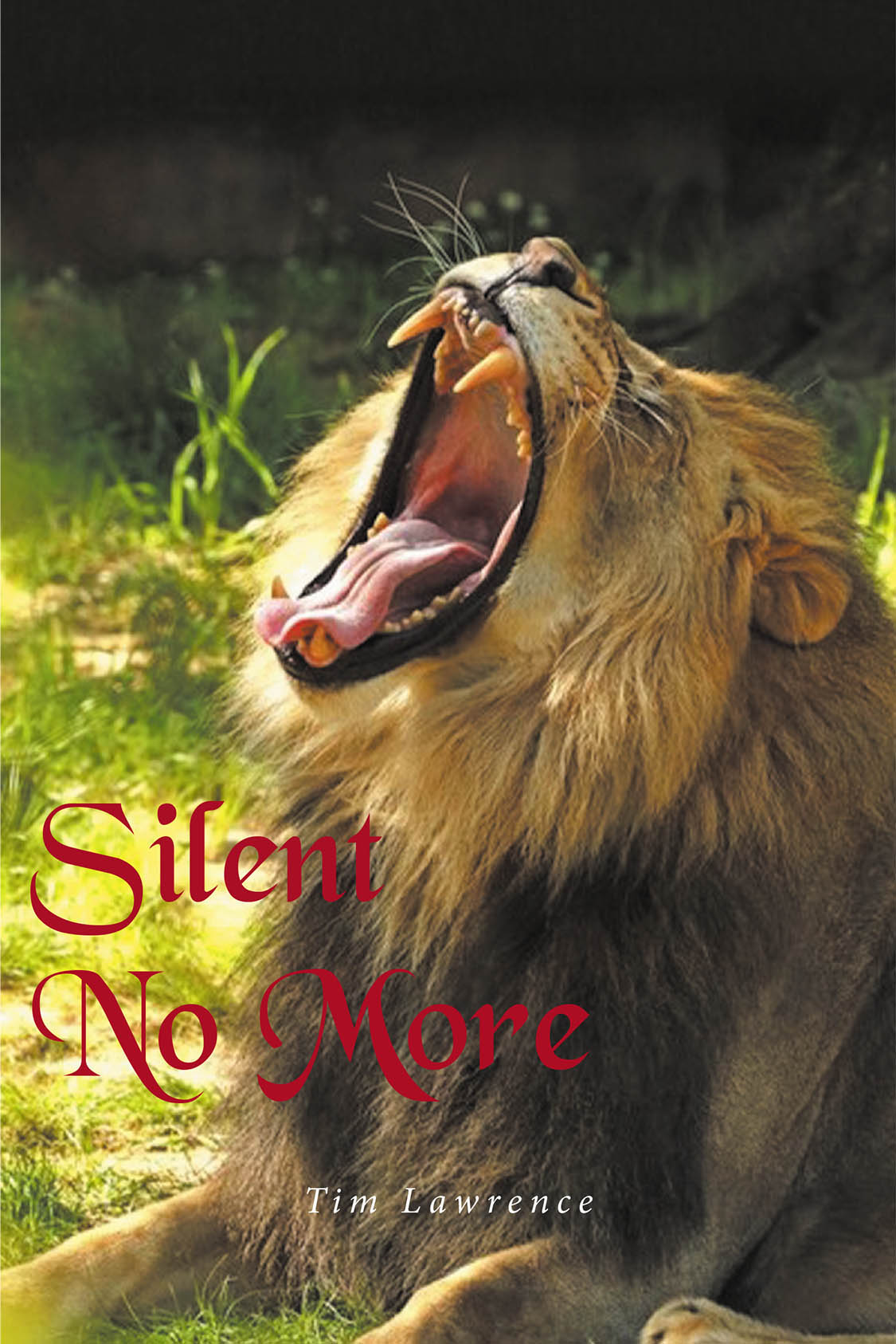 Tim Lawrence’s New Book, "Silent No More," is a Powerful Memoir Told Through a Series of Poems That Explores the Trauma and Healing the Author Endured Throughout His Life