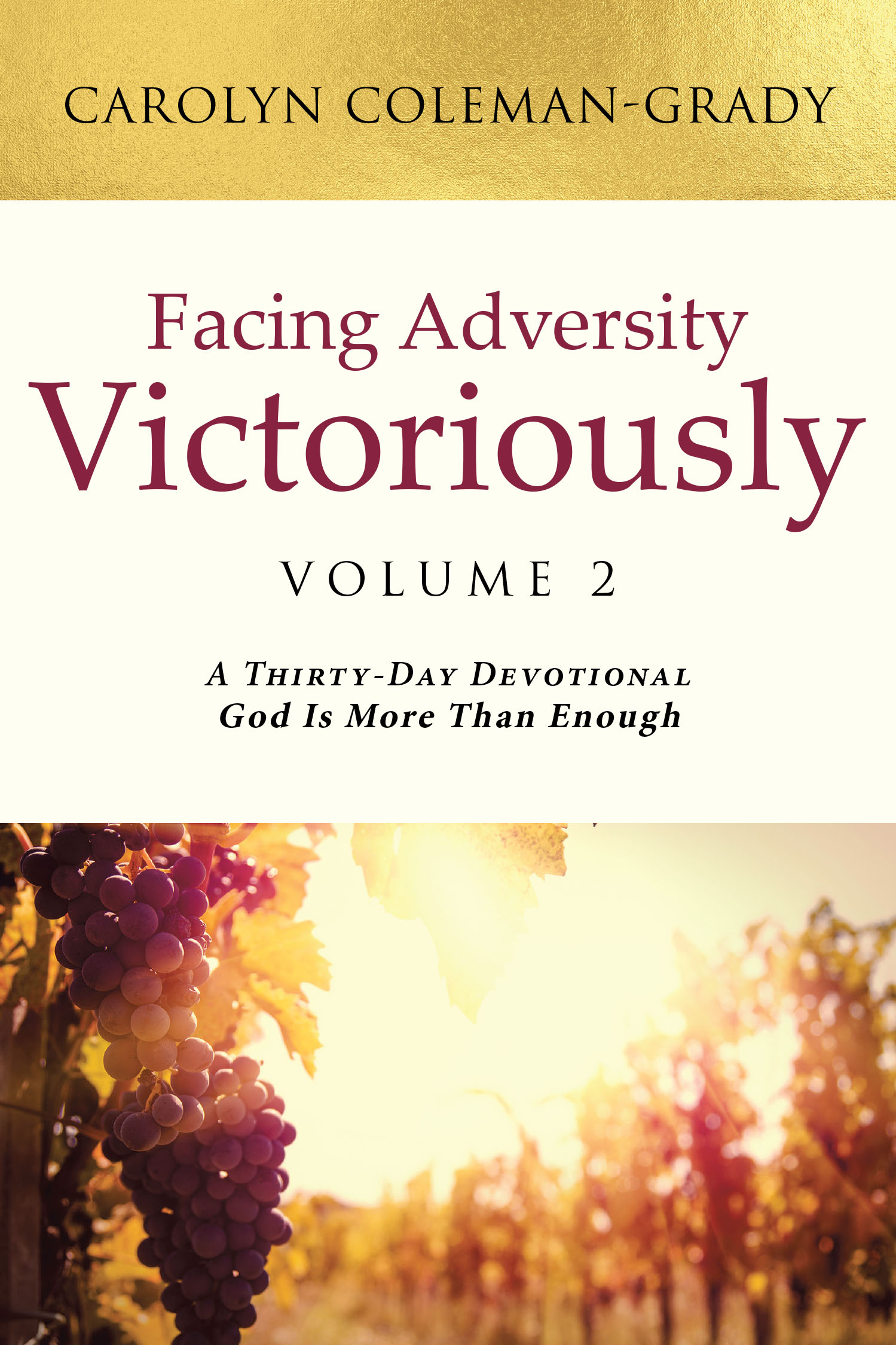 Author Carolyn Coleman-Grady’s New Book, "Facing Adversity Victoriously," is a Powerful Devotional That Will Help Readers Develop Their Relationship with the Lord