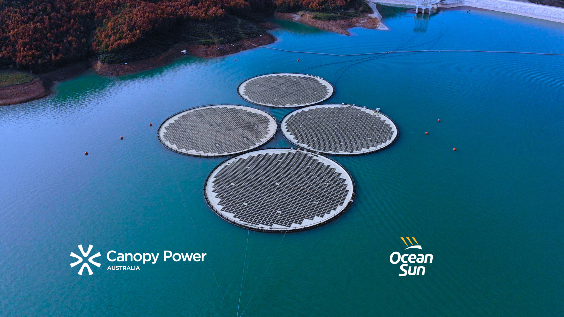 Canopy Power Australia and Ocean Sun Team Up to Bring Floating Solar to Australia