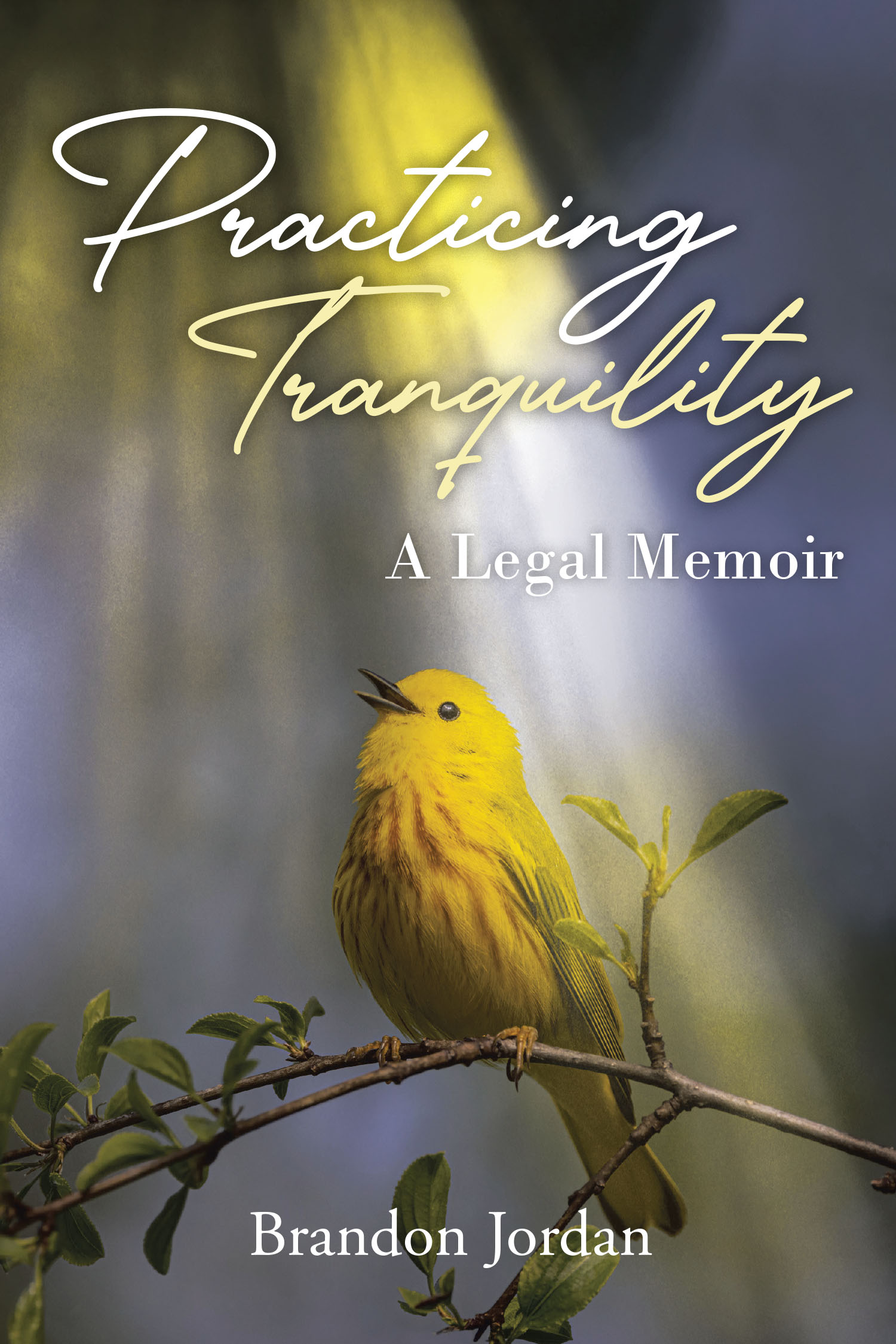 Brandon Jordan’s Newly Released “Practicing Tranquility: A Legal Memoir” is a Compelling Reflection on Law, Life, and Personal Growth