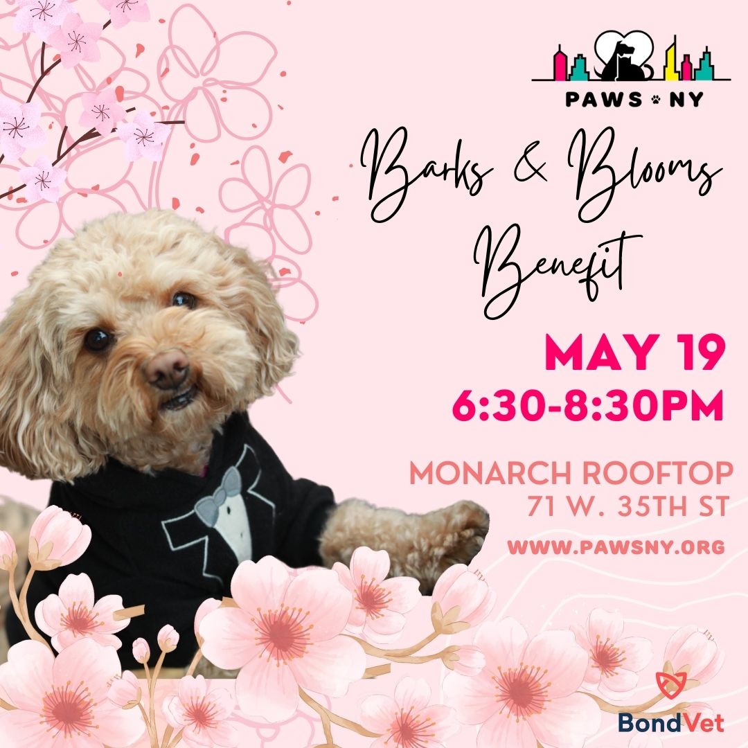 PAWS NY Returns to Monarch Rooftop for 2025 Barks & Blooms Benefit to Raise Money for People and Pets in Need