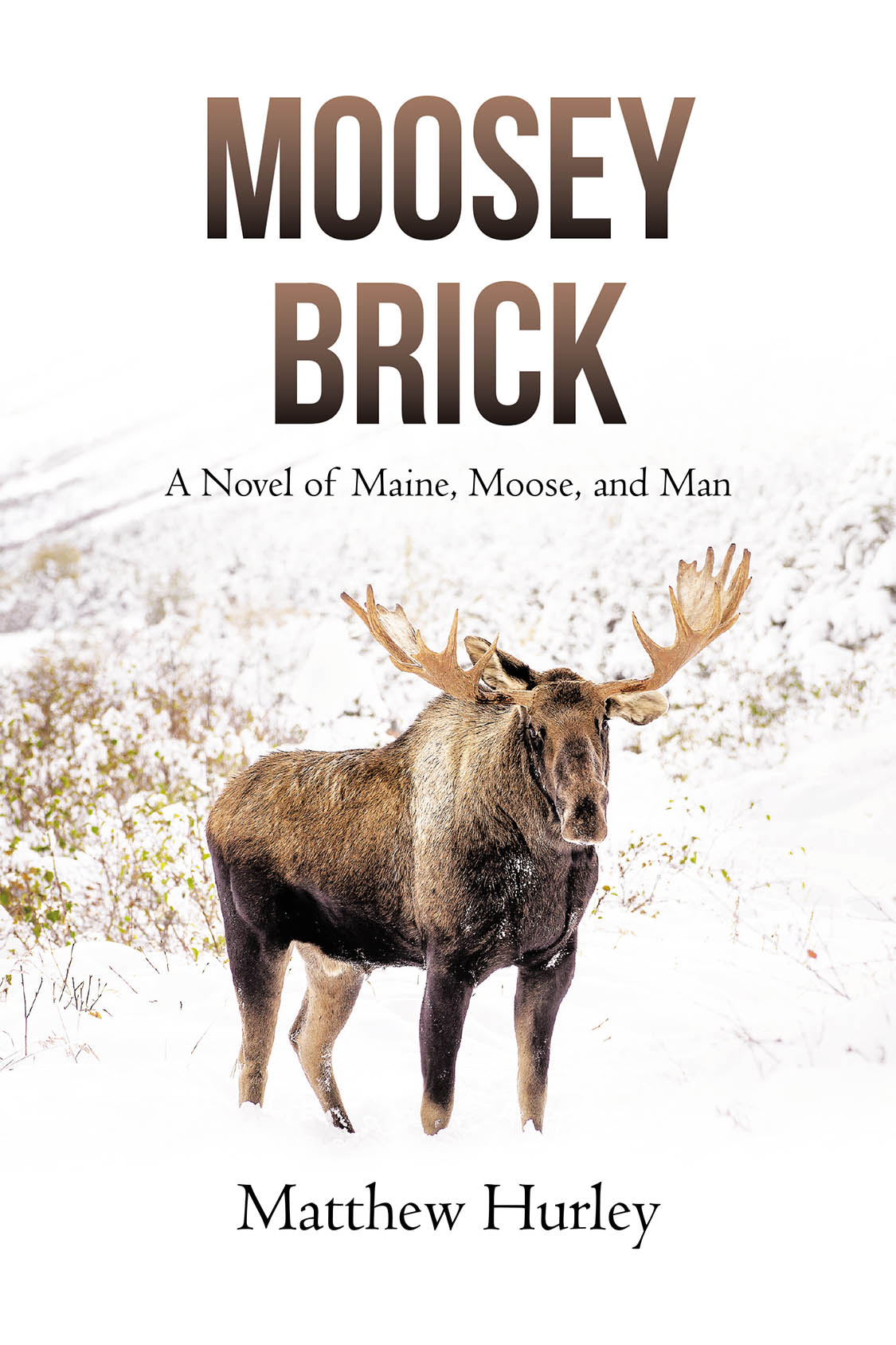 Author Matthew Hurley’s New Book, “Moosey Brick: A Novel of Maine, Moose, and Man,” is a Story Set in the Maine Woods, Full of Maine Personalities