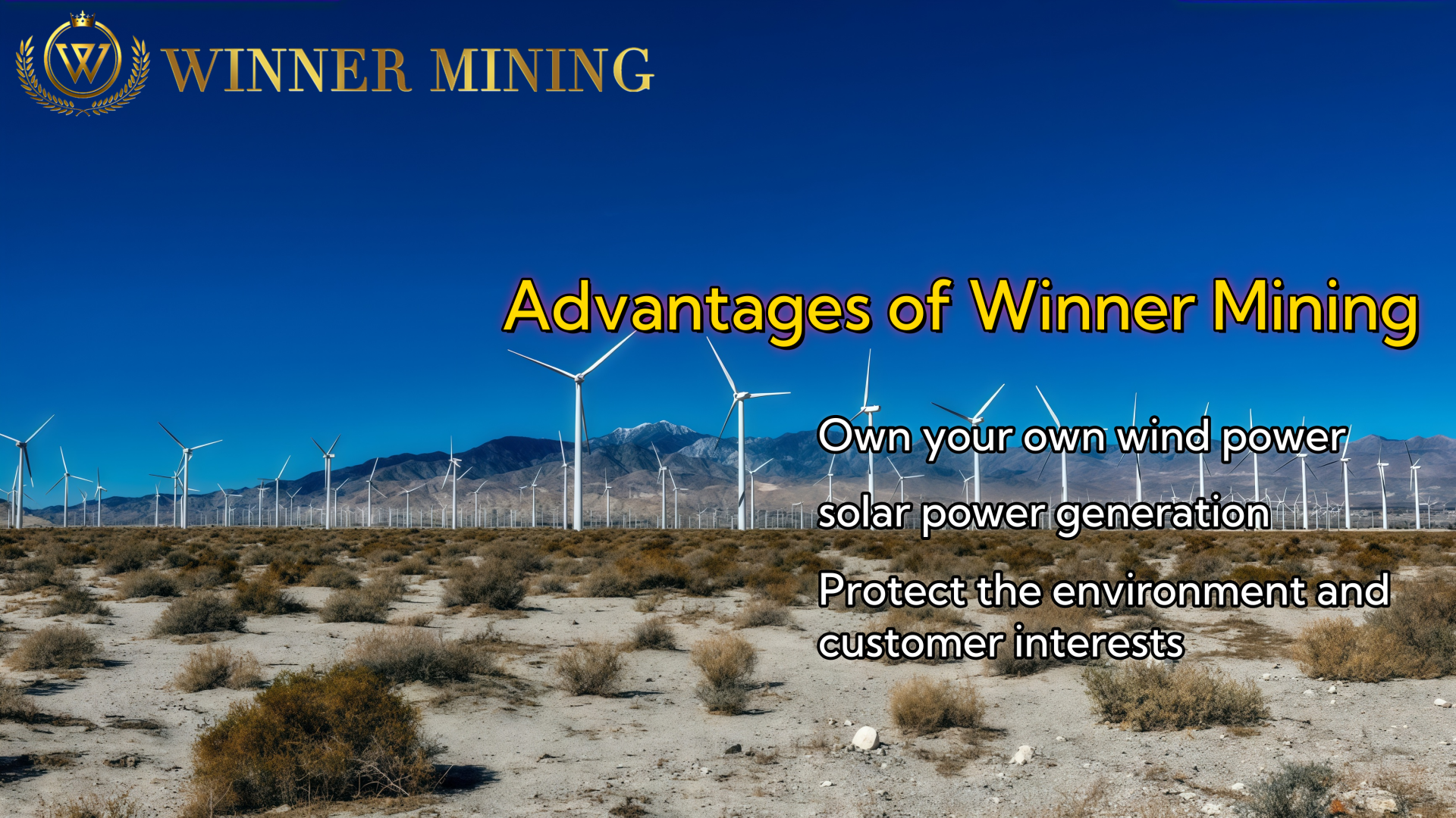 WinnerMining Simplifies the Cloud Mining Process for Beginners and Provides Daily Income Potential
