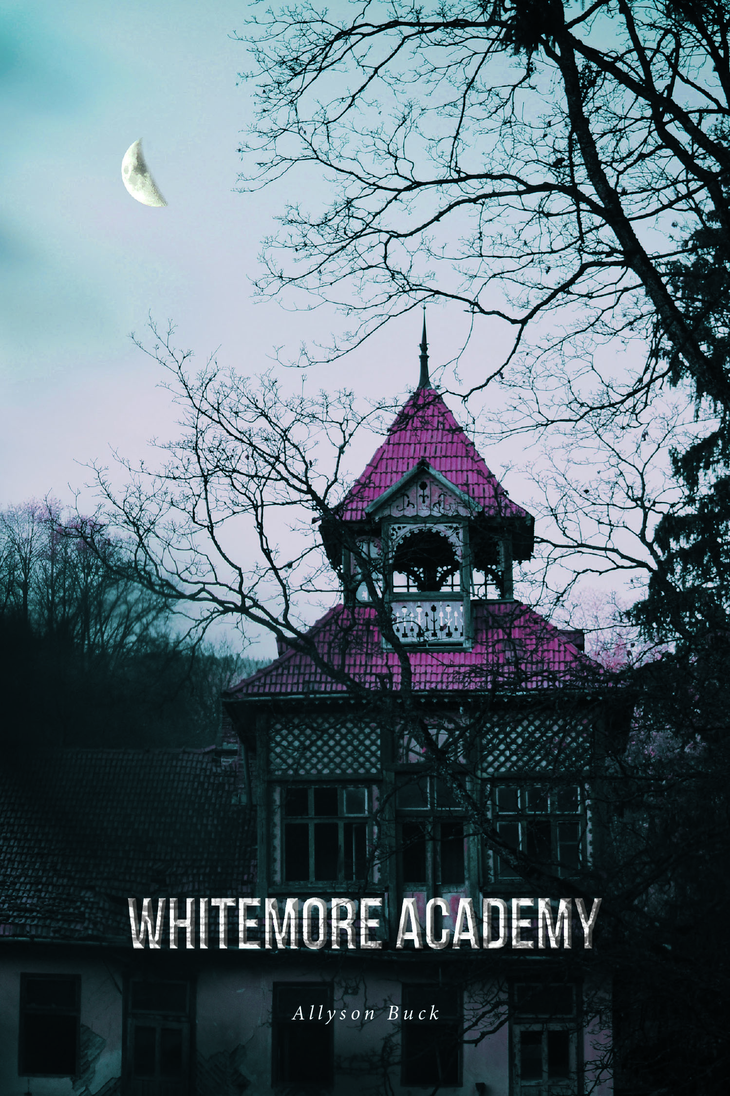 Allyson Buck’s New Book, "Whitemore Academy," Follows Two Siblings Who Find Themselves at a Sinister Academy That Harbors a Terrifying Secret Within Its Walls