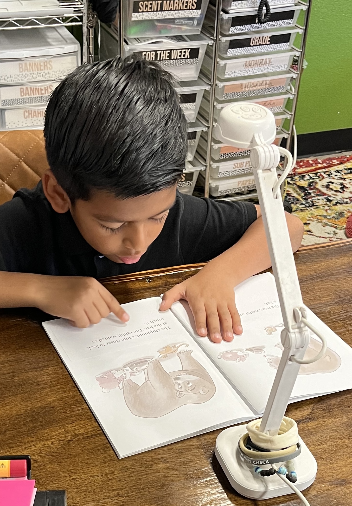 Beyond Words: Unlocking Literacy Through Wordless Books