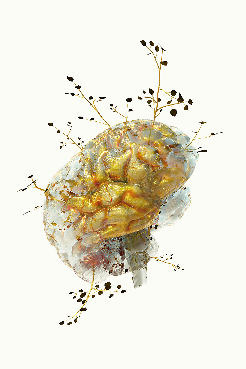 Phytobiosomes by Costas Picadas